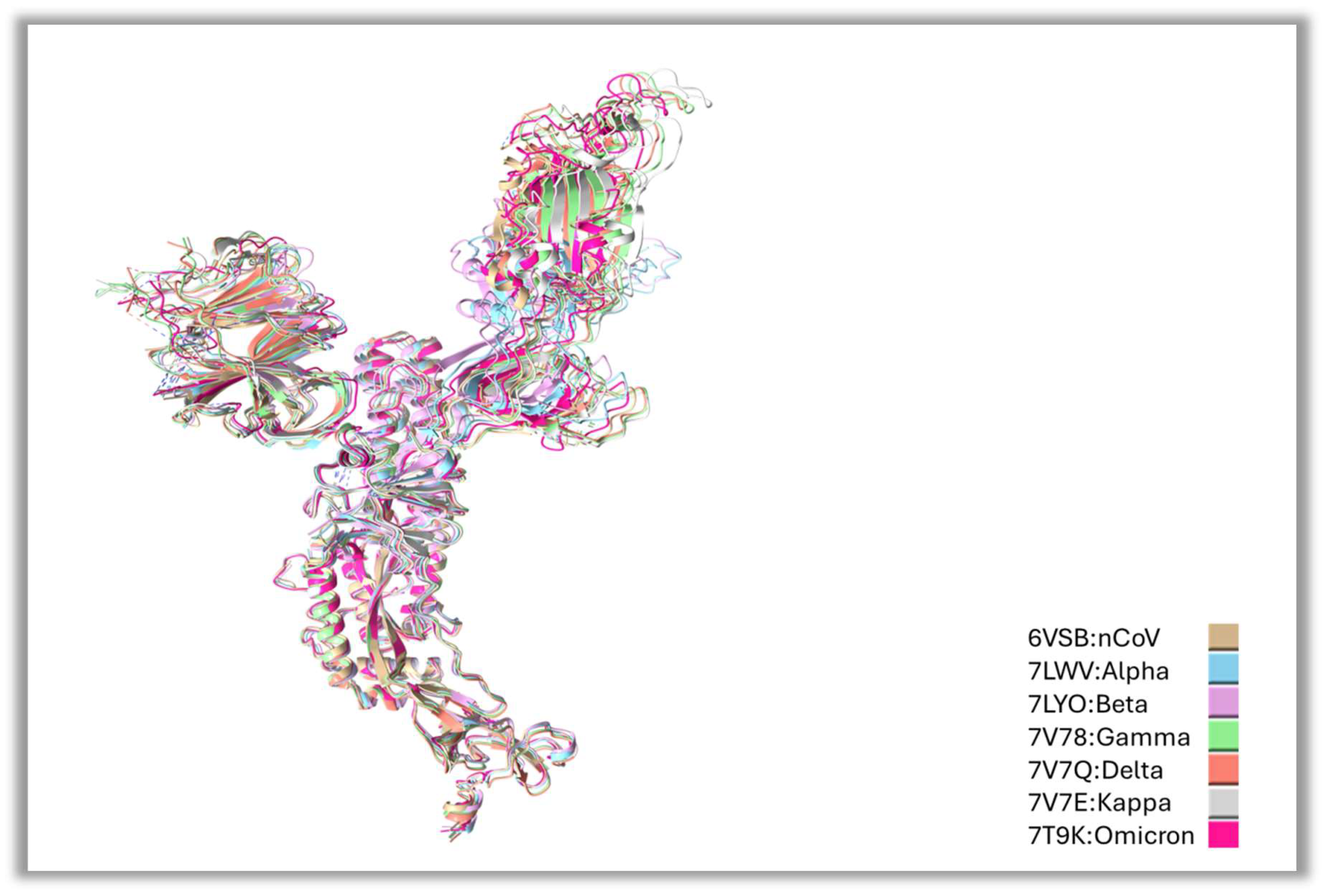 Figure 1: Structural comparison by aligning residue to residue as a superimposition of the S protein of VOCs. VOCs have been marked in the color code key as shown in the bottom right of the above figure.