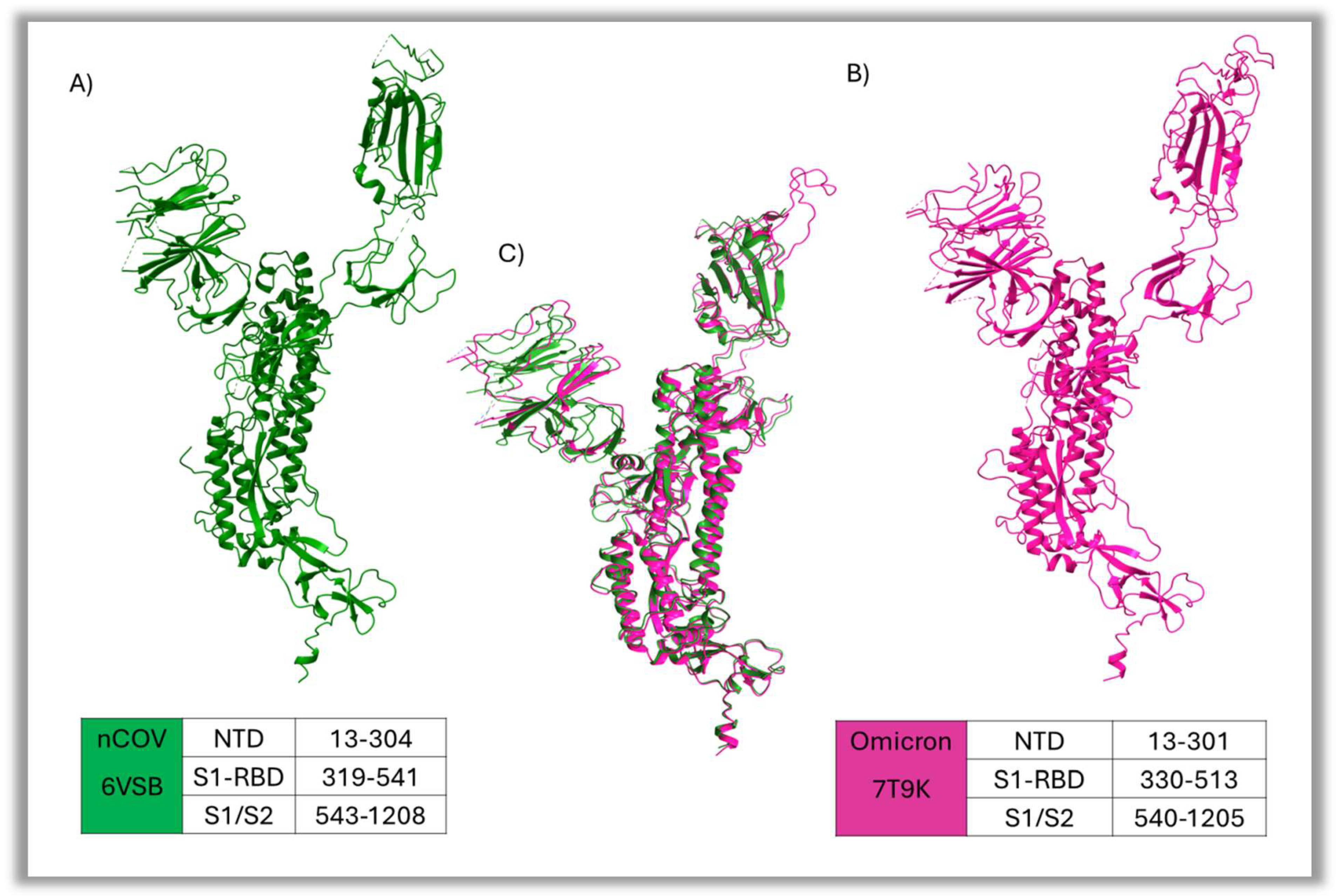 Figure 4: Structural depiction of spike protein with its structural domain details, and structural comparison. (A) Represents the spike protein of nCoV (6VSB). (B): represents spike protein of Omicron (7T9K). (C) overlay of both structures within 2Å RMSD. The structural domain comprising NTD, S1-RBD, and the S1/S2 region is described in the corresponding table at the bottom.