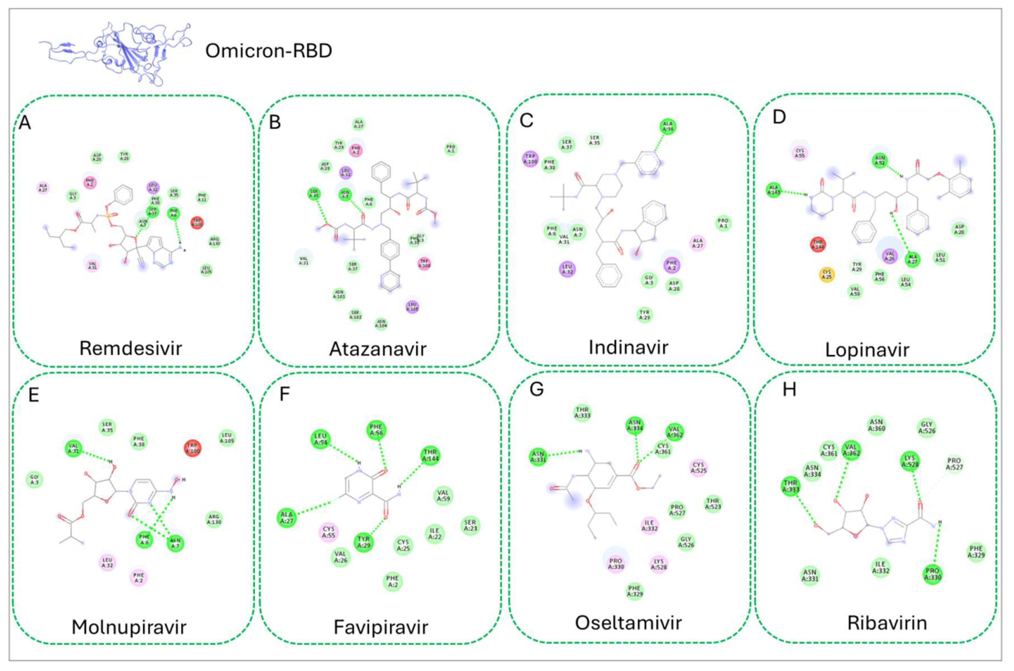 Figure 5: Docking pose of the protein-ligand interaction of Omicron with selected drugs (A) Remdesivir, (B) Atazanavir, (C) Indinavir, (D) Lopinavir, (E) Molnupiravir, (F) Favipiravir, (G) Oseltamivir, (H) Ribavirin. H-bonds among the corresponding ligands are shown in the 2D interaction figures.