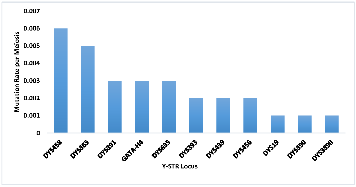 Figure 2: Per-locus Y-STR mutation rates observed among the studied population.