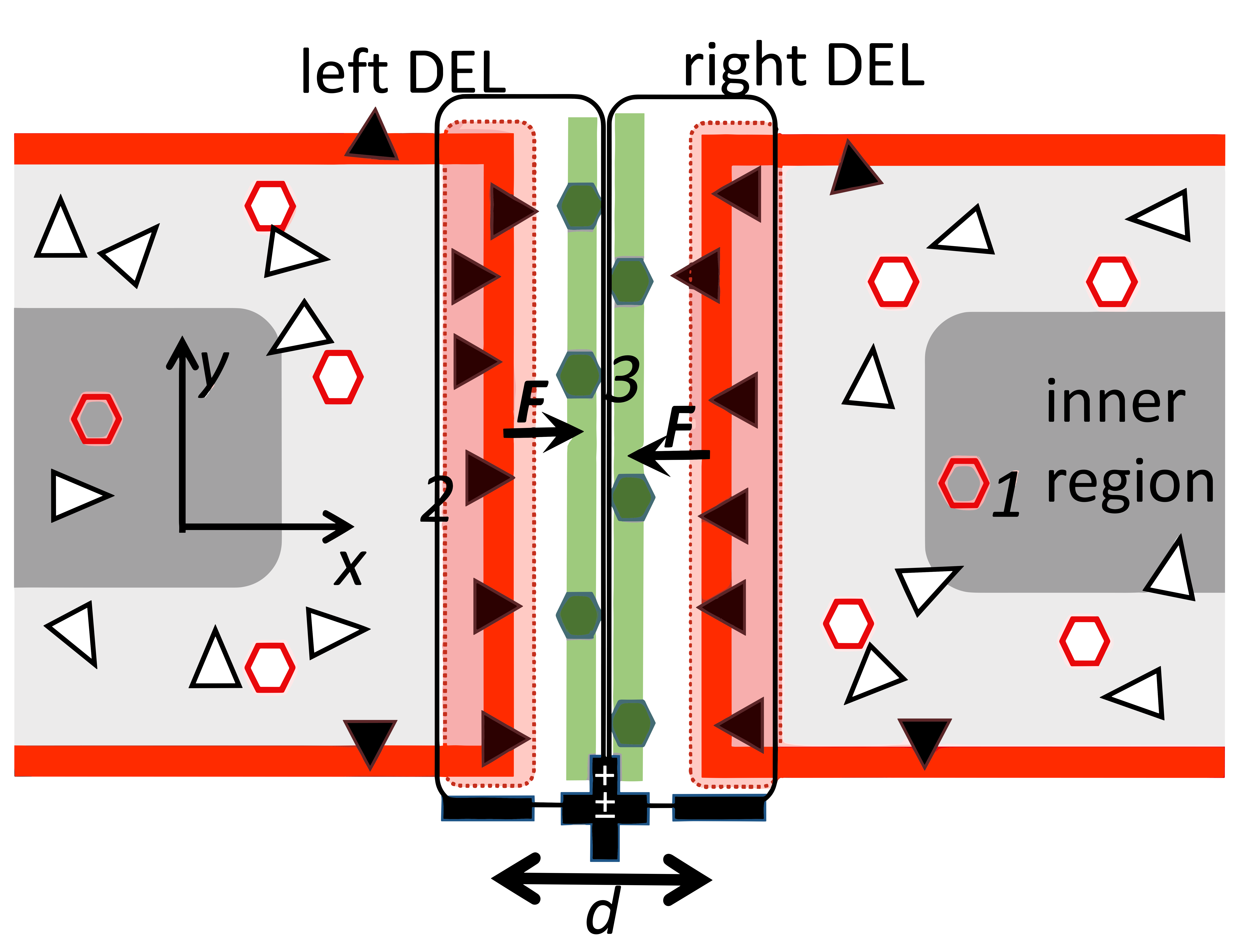 Figure 4: Schematic presentation of the contact region between two neighboring nanocrystals in bone; the solid red and green stripes refer to negatively and positively charged nanolayers of two DELs (see text). Black and white triangles refer to OH− on the surface and OH− vacancies in the bulk; white and green hexagons refer to Ca2+ vacancies and Ca2+(H2O)n clusters in hydrated layers, respectively. The inner region (see text) of HAPNs is darkened.