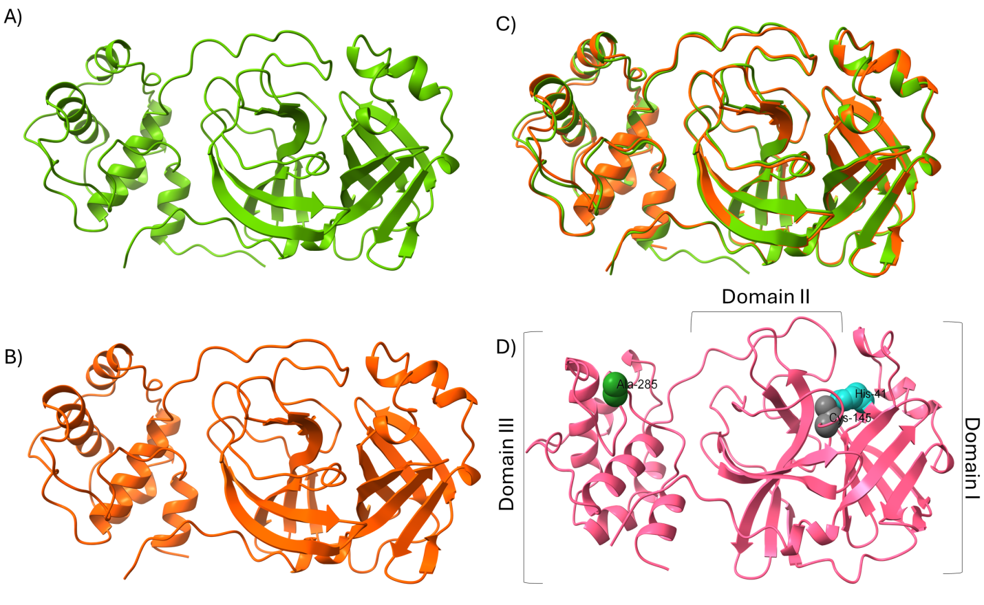 Figure 1: Structural analyses of SARS-CoV-2 Mpro. (A) Depiction of a cartoon render of Mpro (WT), image generated from PDB 6Y2E, in a single unit by removing the existing ligand. (B) Depiction of a cartoon render of Mpro (Mutant), image generated from PDB 9AUK, in a single unit by removing the existing ligand. (C) Depiction of a structure overlay to compare similarity by alignment of residues with residues with an RMSD cutoff value of 2 Å. (D) Depiction of a cartoon with marked vital residues present in domains.