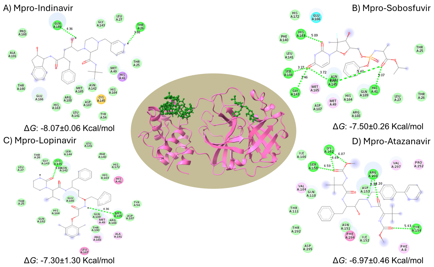 Figure 2: Best-ranked docking pose of ligand-Mpro. The docking pose is marked with an H-bond and bond length. (A) 2D interaction of Mpro-Indinavir associated with H-Bond. (B) 2D interaction of Mpro-Sofosbuvir associated with H-Bond. (C) 2D interaction of Mpro-Lopinavir associated with H-Bond. (D) 2D interaction of Mpro-Atazanavir associated with H-Bond.