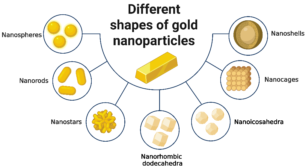 Figure 2: Different shapes of gold nanoparticles. Created by BioRender.com.
