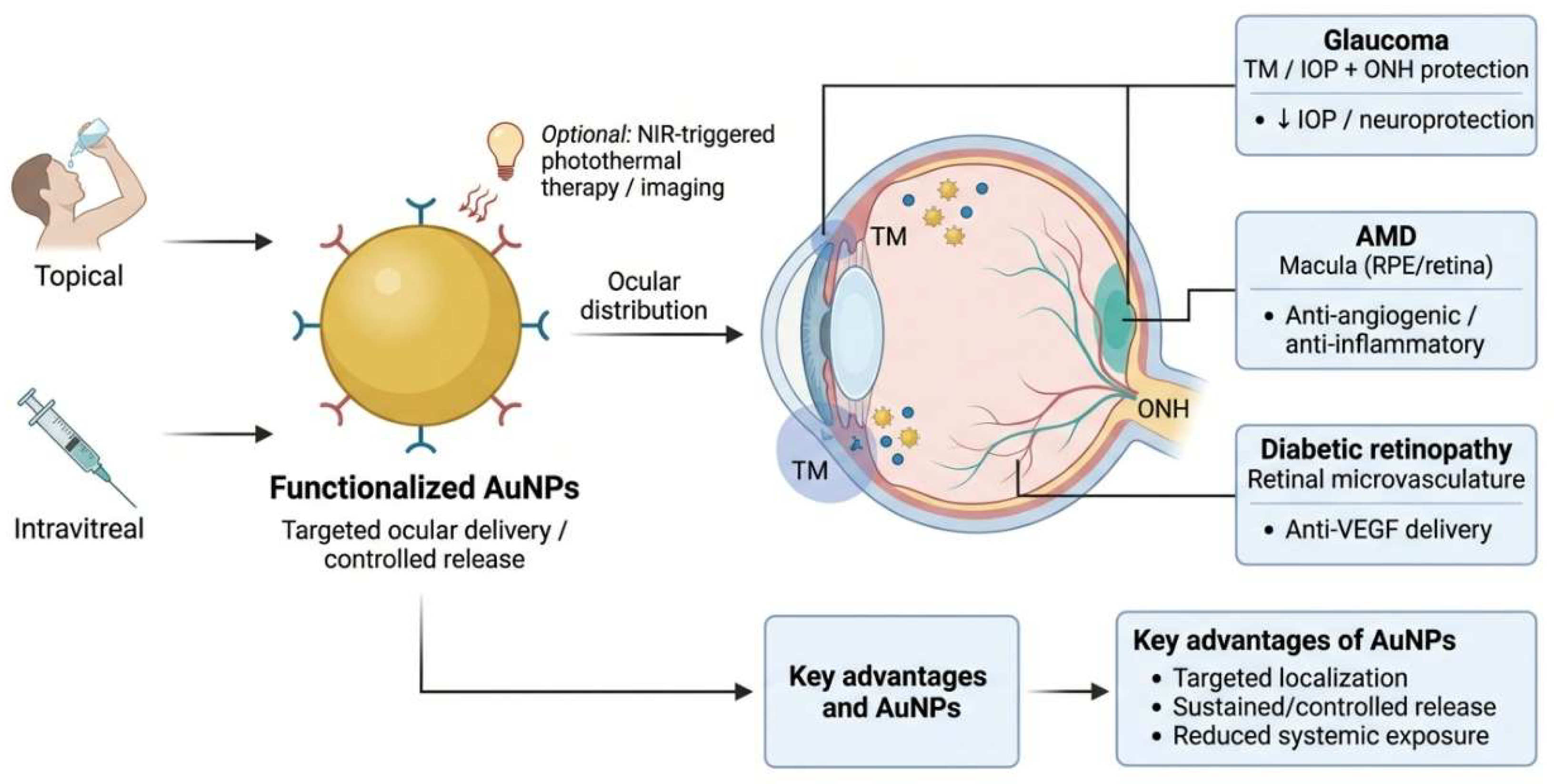 Figure 5: Schematic illustrating the targeted ocular delivery of functionalized gold nanoparticles. Created by BioRender.com.