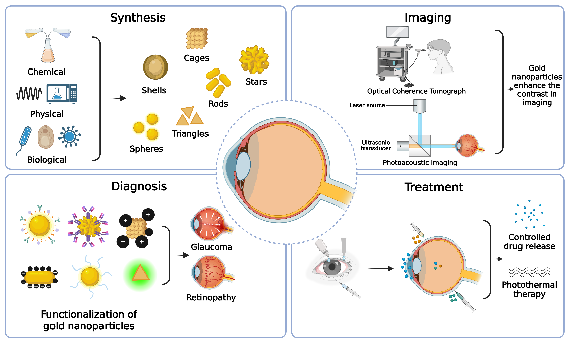 Figure 9: Gold nanoparticles of various shapes and sizes are exploited for multiple ocular applications. Created by BioRender.com.