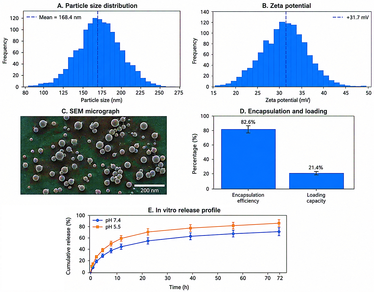 Figure 1: Physicochemical characterization of optimized Prunus africana-loaded chitosan nanoparticles. (A) Dynamic light scattering investigation reveals a mean particle size of 168.4 ± 12.6 nm and a PDI of 0.23 ± 0.04. (B) The zeta potential analysis reveals a positive surface charge of +31.7 ± 3.2 mV. (C) SEM micrograph of discrete, smooth-surfaced, spherical nanoparticles with little aggregation. (D) The optimized formulation exhibited a loading capacity of 21.4 ± 1.6% and an encapsulation efficiency of 82.6 ± 4.8%. (E) Prunus africana extract was released in a sustained manner over 72 h in vitro, with faster release at pH 5.5 than at pH 7.4. The mean ± SD of triplicate determinations is used to express the values.