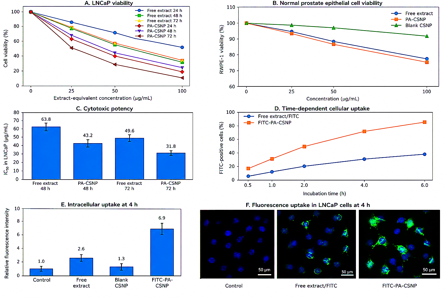Figure 2: Viability and cellular uptake of P. africana-loaded chitosan nanoparticles in prostate cell models. (A) Dose- and time-dependent viability of LNCaP cells treated with free extract or nanoparticle-loaded extract at 25, 50, and 100 µg/mL for 24, 48, and 72 h. (B) Viability of RWPE-1 normal prostate epithelial cells treated with free extract, blank nanoparticles, or nanoparticle-loaded extract. (C) Comparative IC50 values at 48 and 72 h. (D) Time-dependent uptake of FITC-labelled nanoparticles over 0.5–6 h. (E) Relative fluorescence intensity at 4 h. (F) Fluorescence microscopy images showing enhanced intracellular nanoparticle uptake. Values are expressed as mean ± SD of triplicate determinations.