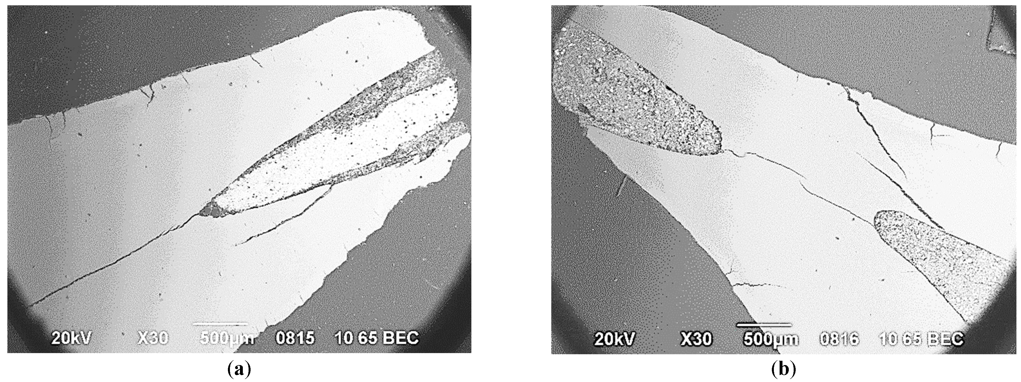 Figure 6: Adjacency of the studied filling materials in the apical region of the root canal: Sealapex with a gutta-percha pin (a), Trioxident (b). SEM. Contrast in BEC electrons. Magnification: ×30.