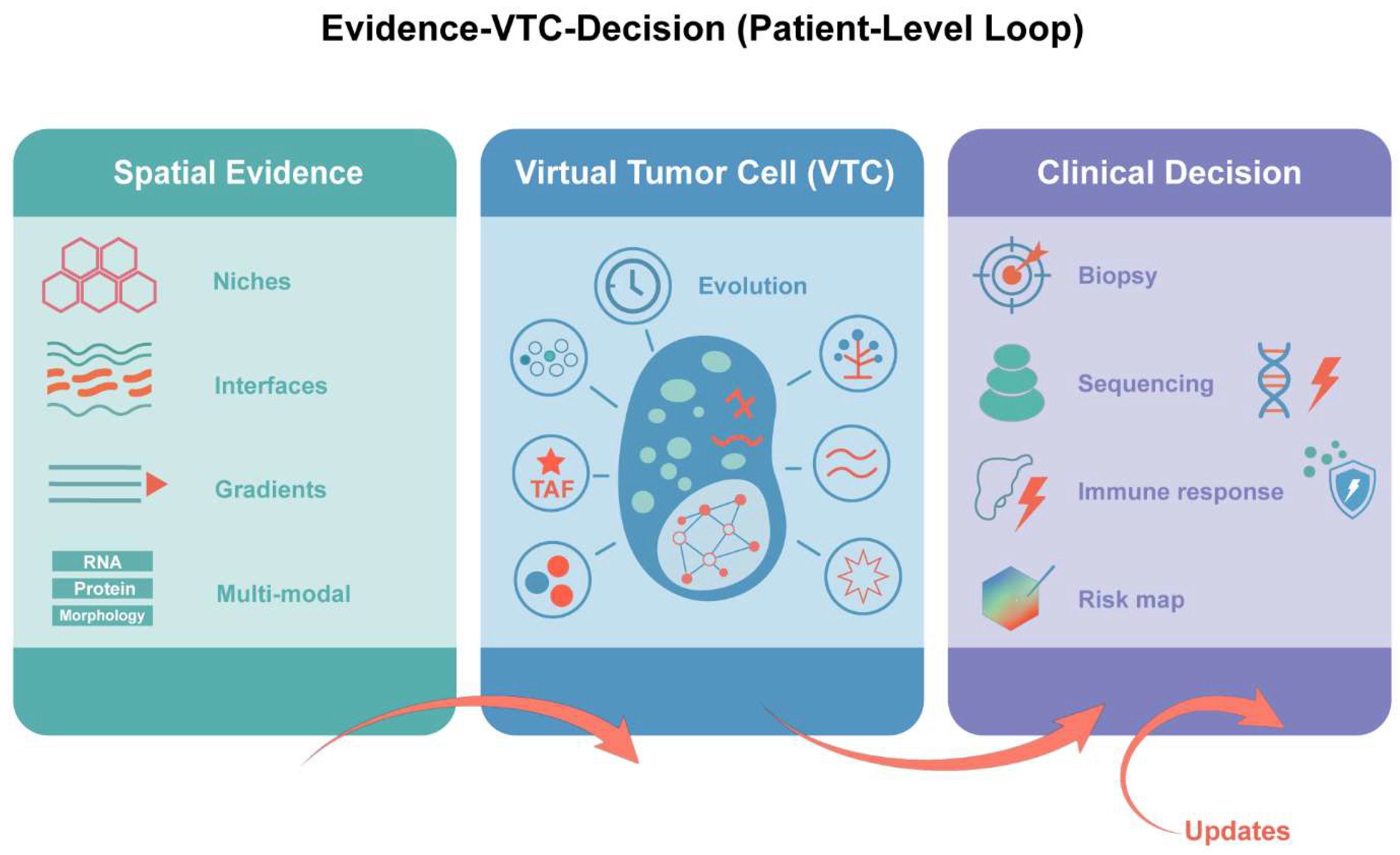 Figure 1: Evidence-VTC-Decision (Patient-Level Loop). This figure illustrates the iterative process from spatial evidence collection, through the creation of a VTC, to clinical decision-making, with continuous patient-level updates driving personalized treatment strategies.
