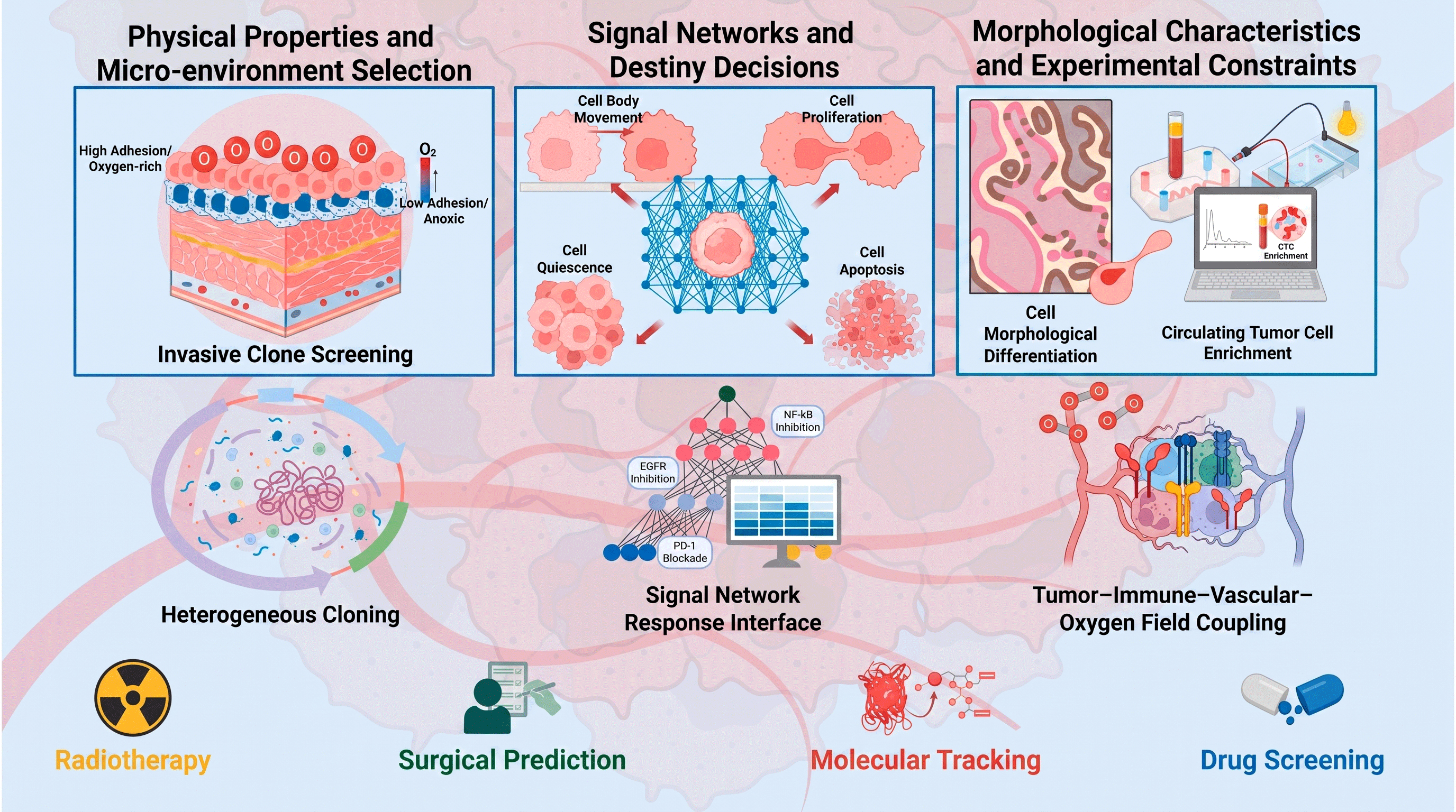 Figure 3: Schematic diagram illustrating the cross-scale role of VTCs in advancing toward patient-level clinical applications. Reproduced with permission from Bai and Su [155].
