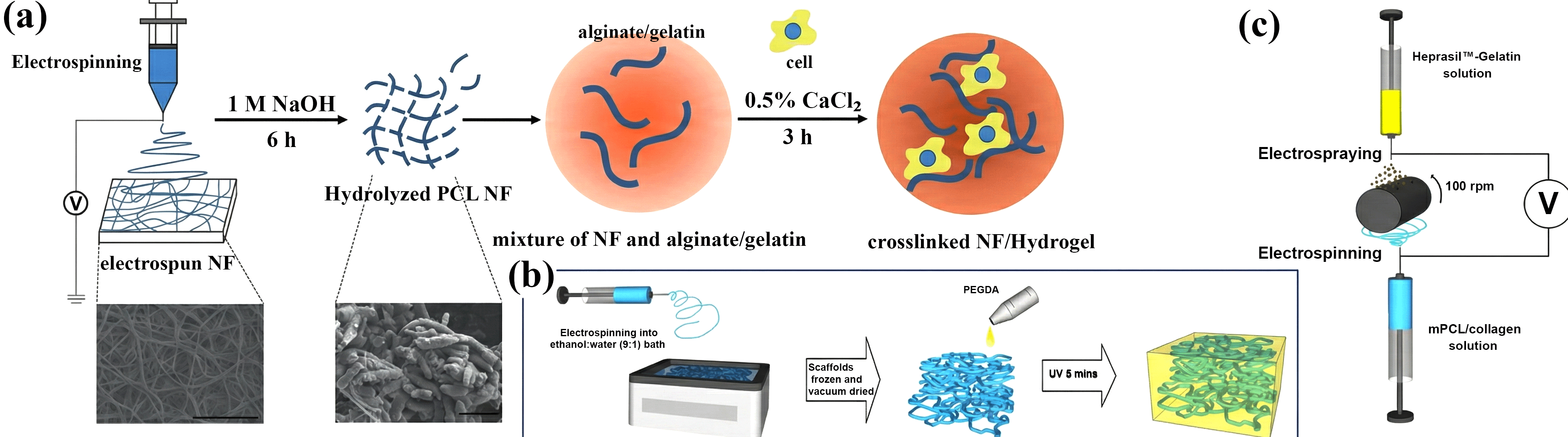 Figure 2: Schematic of the (a) presentation of preparing NF/hydrogel encapsulating cells by the electrospinning method, (adapted with permission from [127]) and (b) showing the assembly of electrospun poly(ε-caprolactone) nanofibers and poly (ethylene glycol)-diacrylate hydrogel to create a fully encapsulated and injectable composite scaffold (adapted with permission from [128]), and (c) representation comprising electrospun fibers coupled with hydrogels. (adapted with permission from [128]).