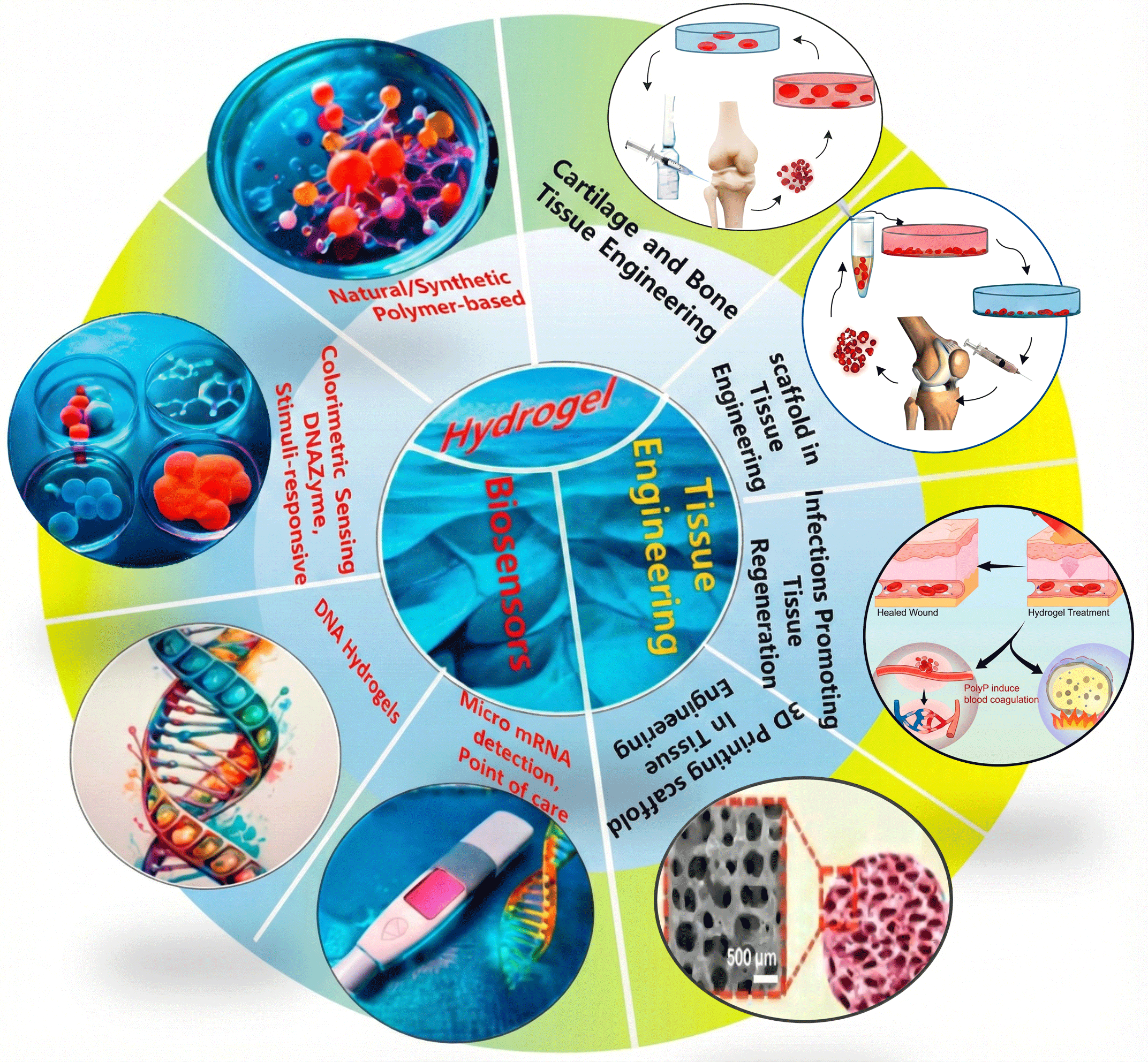Figure 5: Schematic showing different hydrogel biosensor designs and tissue engineering applications, and their respective functions (adapted from [166] under (CC BY) license).