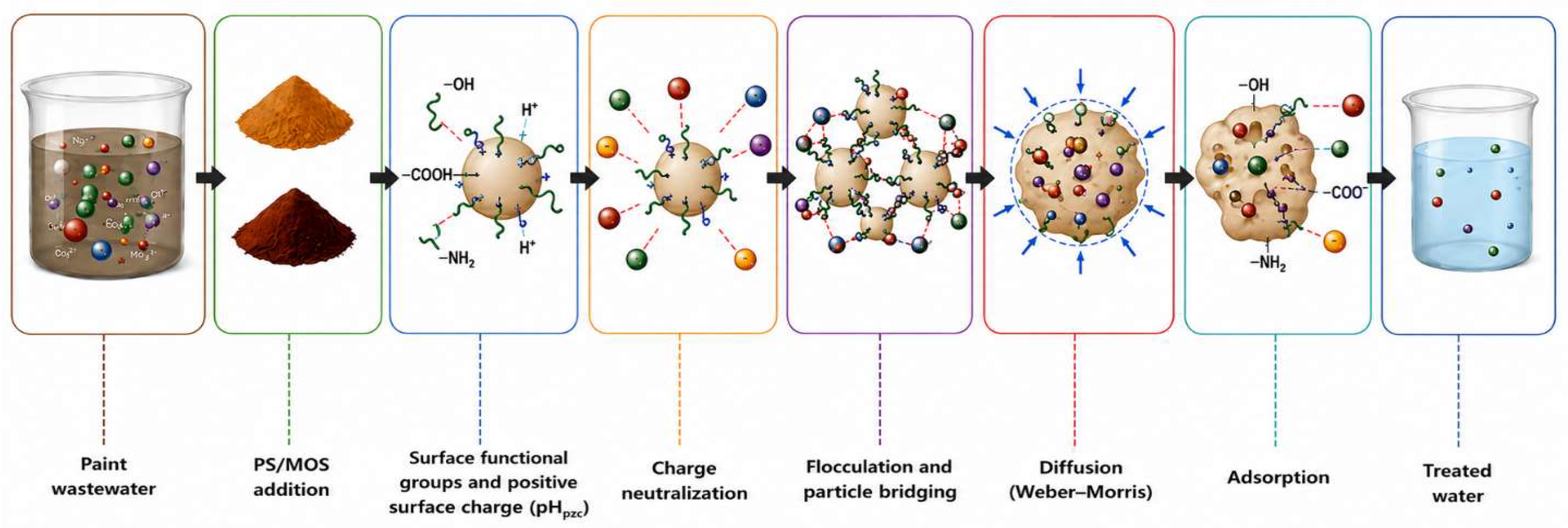 Figure 13: Schematic illustration of the adsorption-assisted coagulation–flocculation mechanism responsible for TDS removal by PS and MOS.