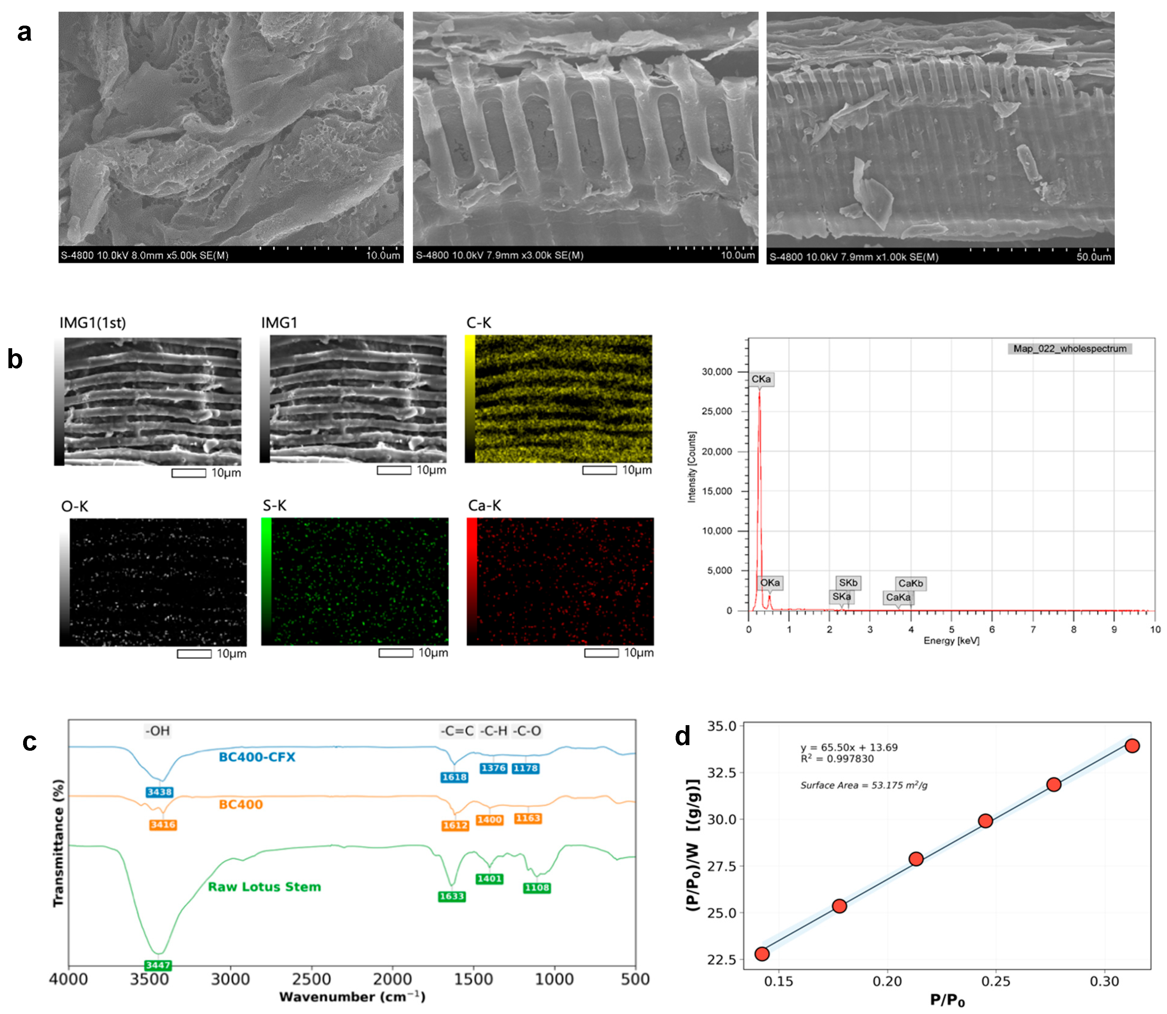 Figure 1: Physicochemical characterization of lotus stem-derived biochar: (a) FESEM images showing the surface morphology at different magnifications; (b) EDX elemental mapping and spectrum; (c) FTIR spectra of raw lotus stem, pristine biochar (BC400), and biochar after ciprofloxacin adsorption (BC400-CFX); and (d) Langmuir linear plot derived from N2 adsorption-desorption data for determination of the specific surface area.