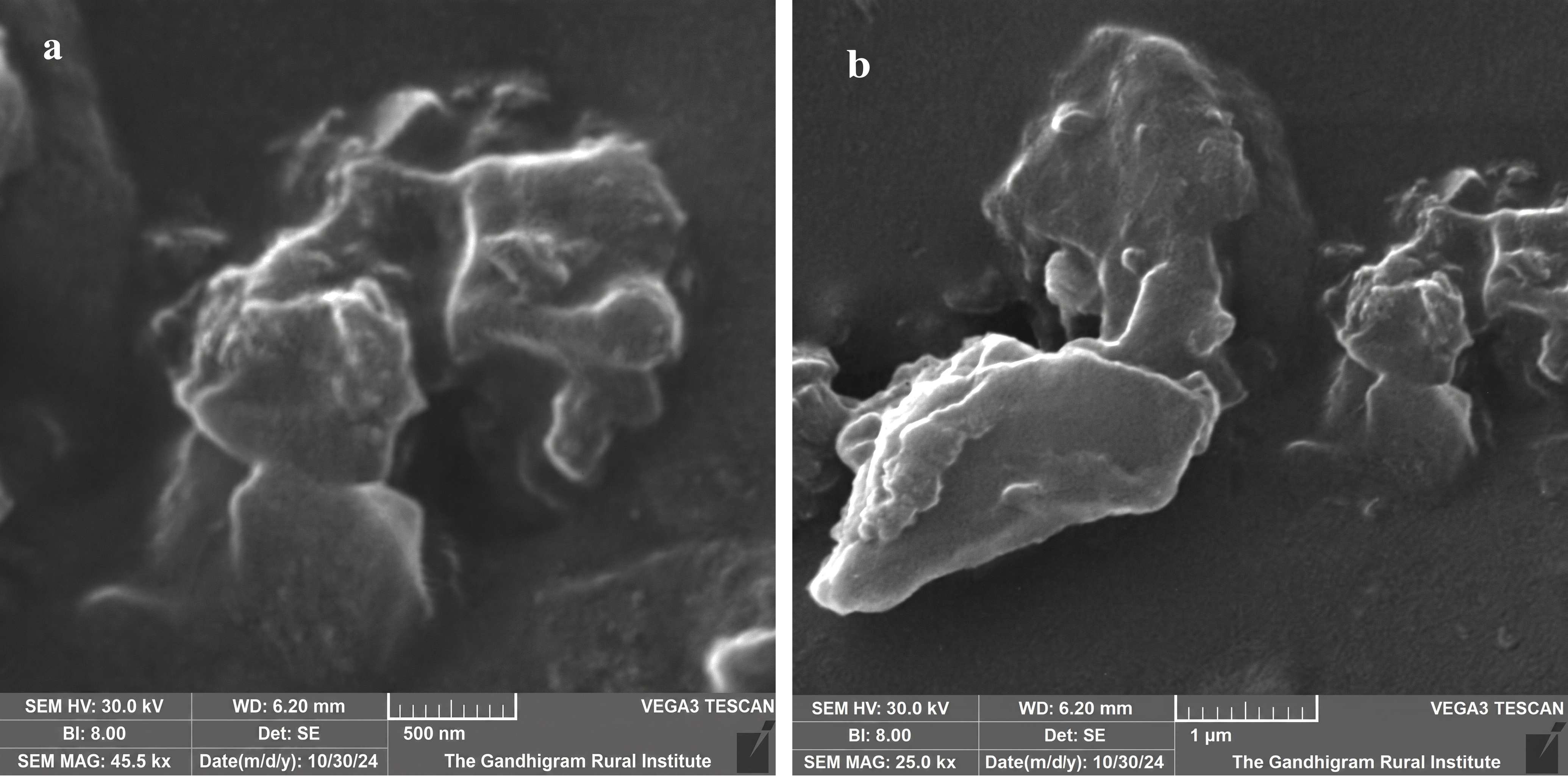 Figure 3: SEM analysis of [CA4-ZnO] nanocomposite hydrogels of CA4Z3.