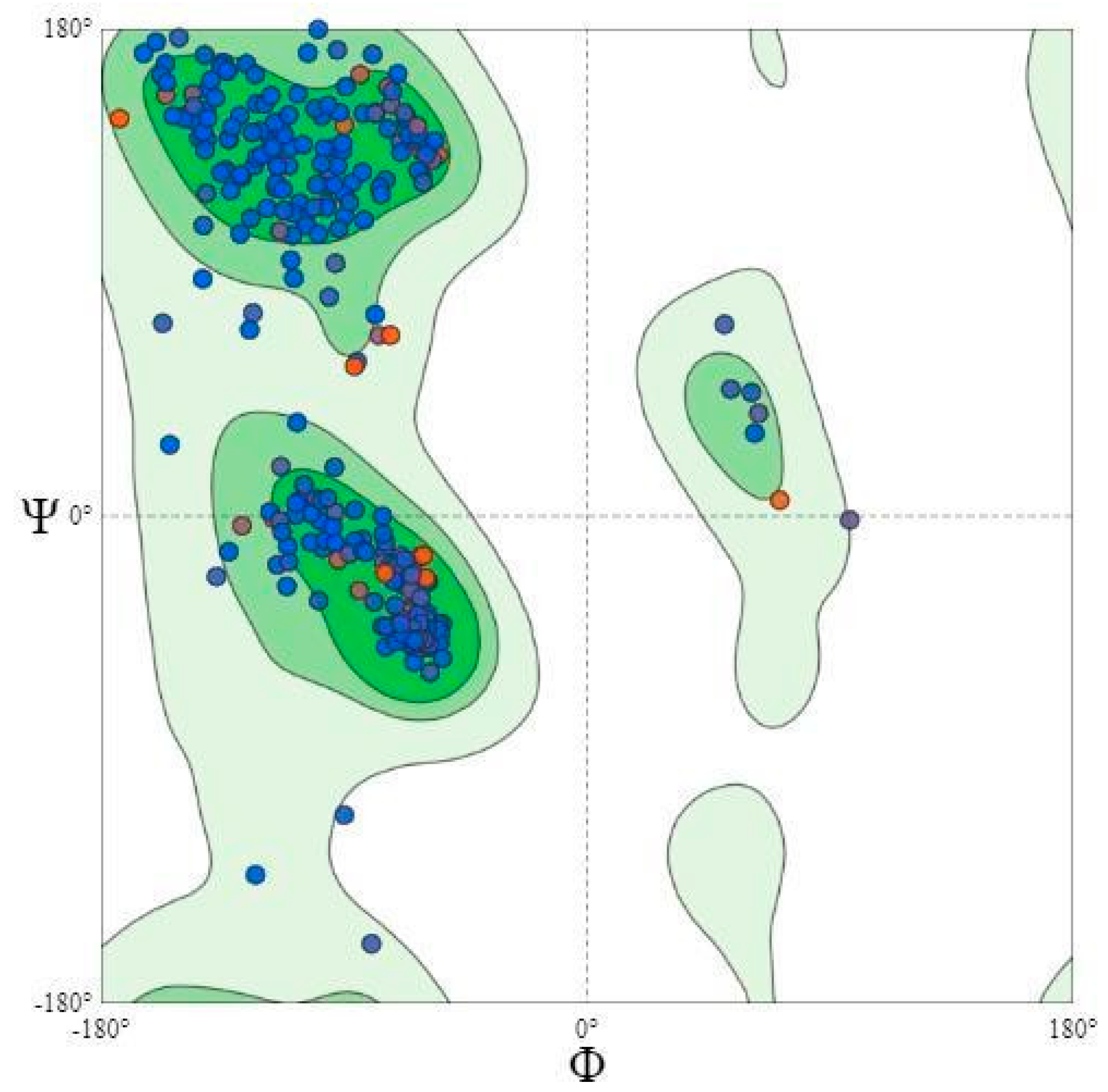 Figure 4: Ramachandran plot to validate the modeled Chitinase.