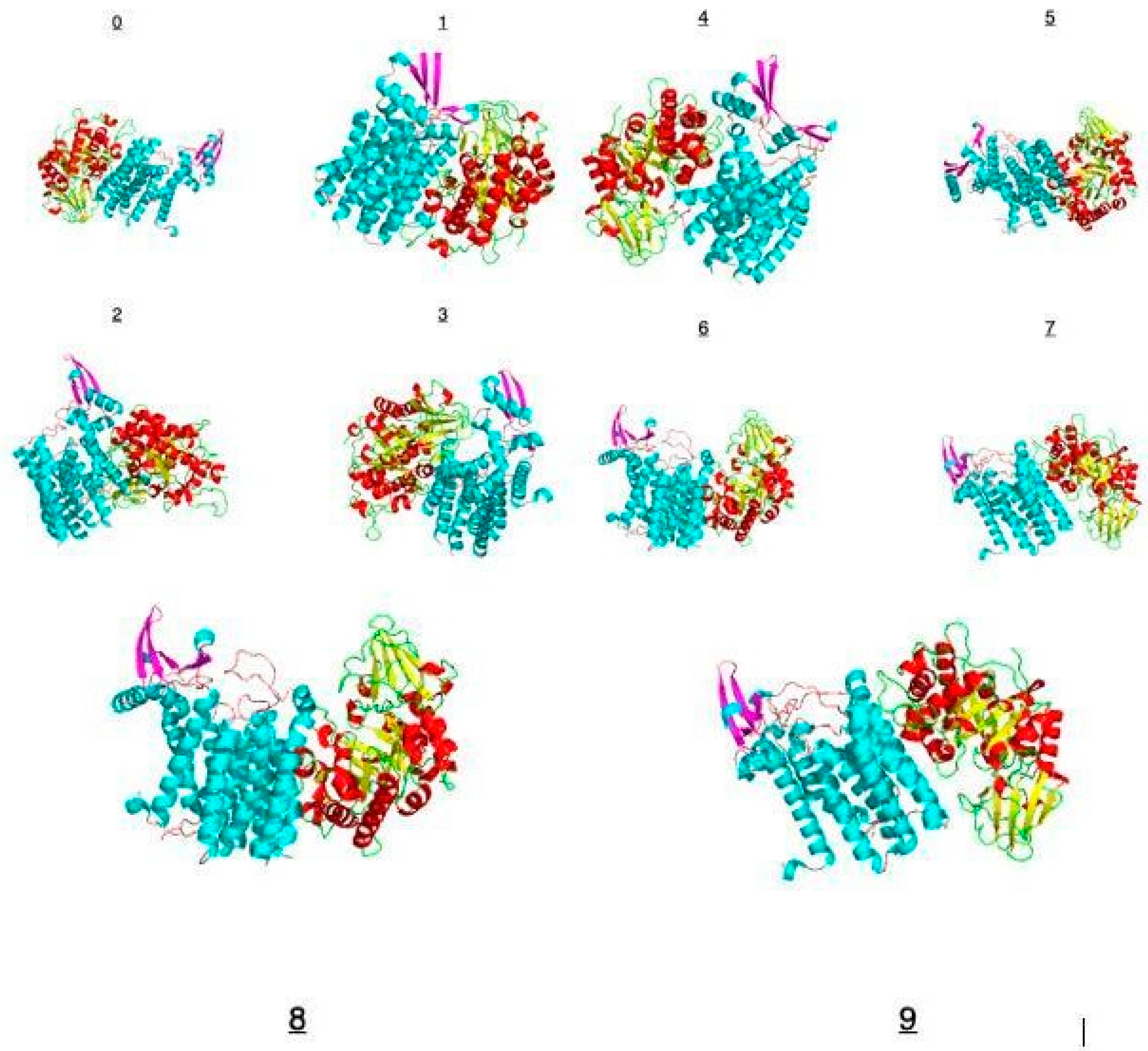 Figure 6: Generated 10 clusters of protein-protein interactions for chitinase and DPAGT. Color-coded keys depict the different components of docked protein-protein complexes. Sky blue: α helix of DPAGT1 (6FM9); Violet: β sheets of DPAGT1 (6FM9); Red: α helix of chitinase protein (2A3C.1); Yellow: β sheets of chitinase protein (2A3C.1).