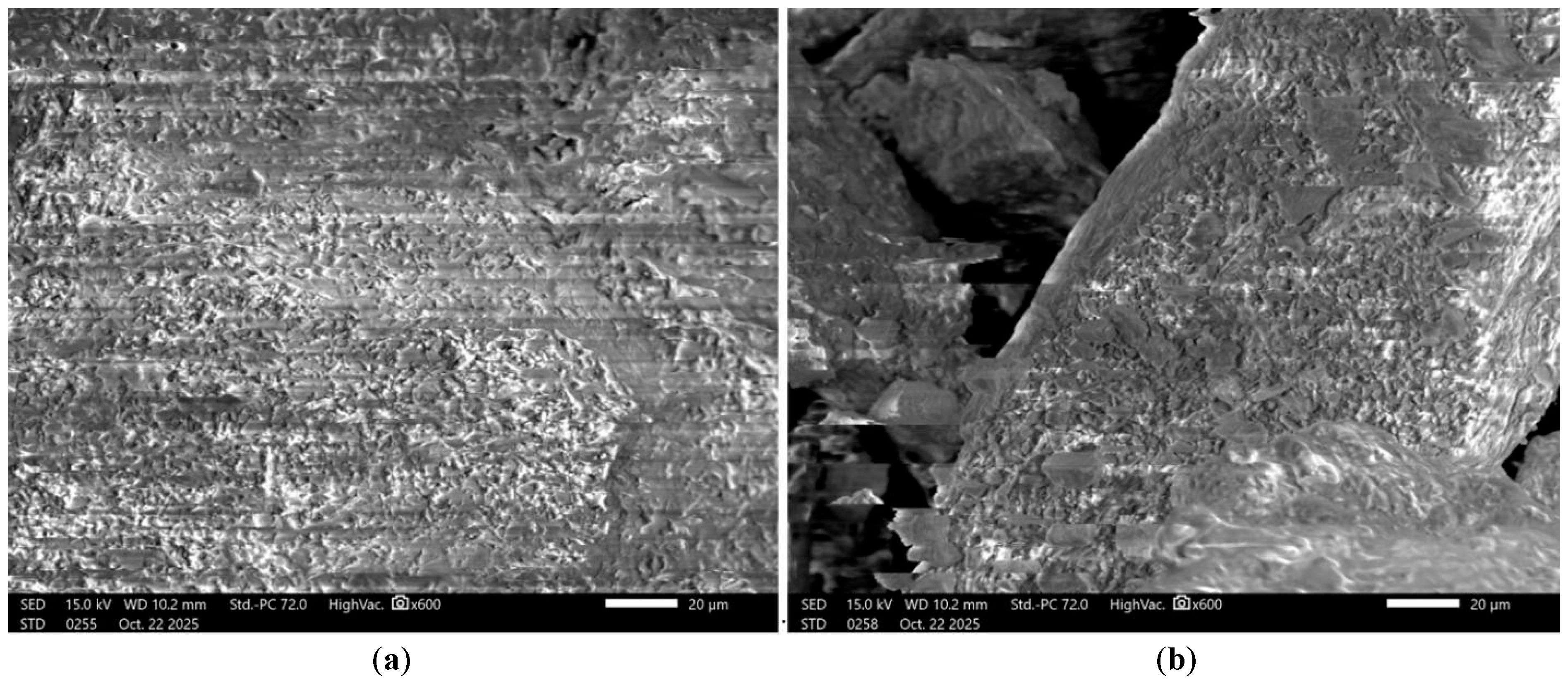 Figure 3: Microstructure of calcite: (a)—unmodified; (b)—modified.
