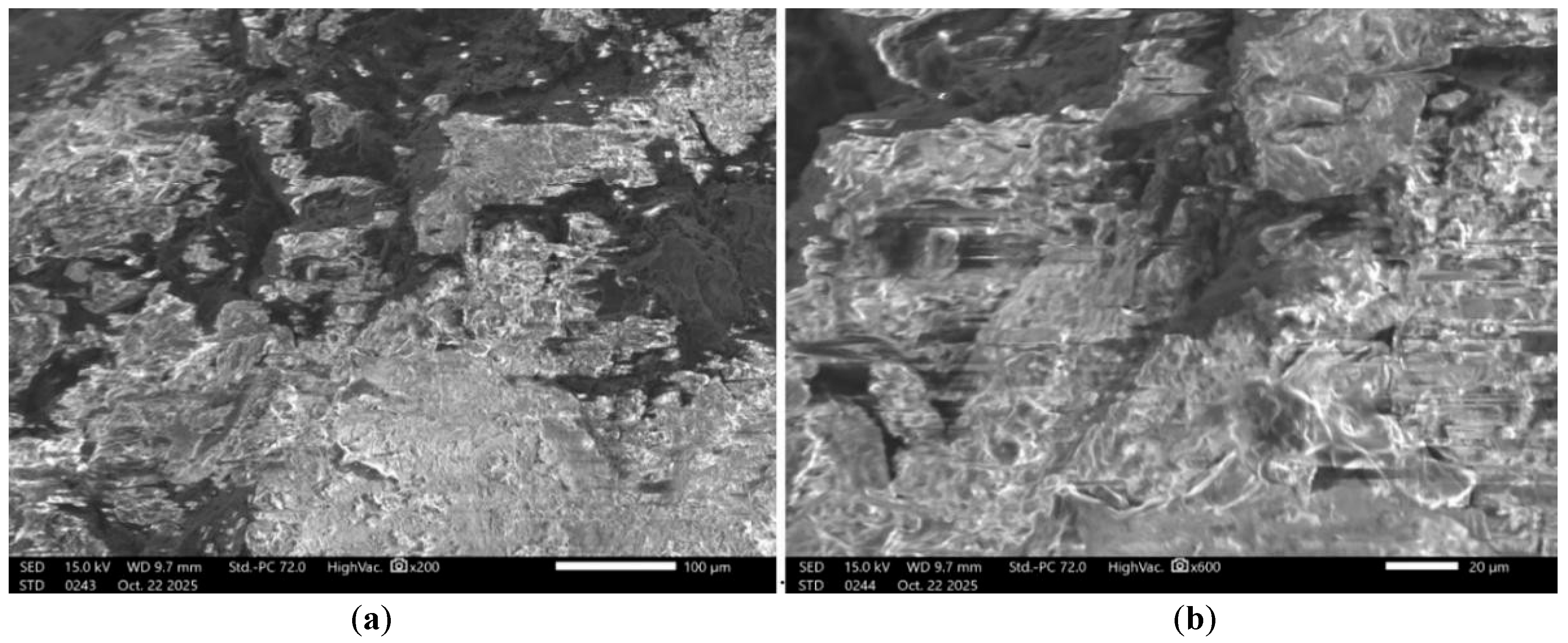 Figure 6: Microstructure of the aluminum-matrix composite at (a) ×200 and (b) ×600 magnification.