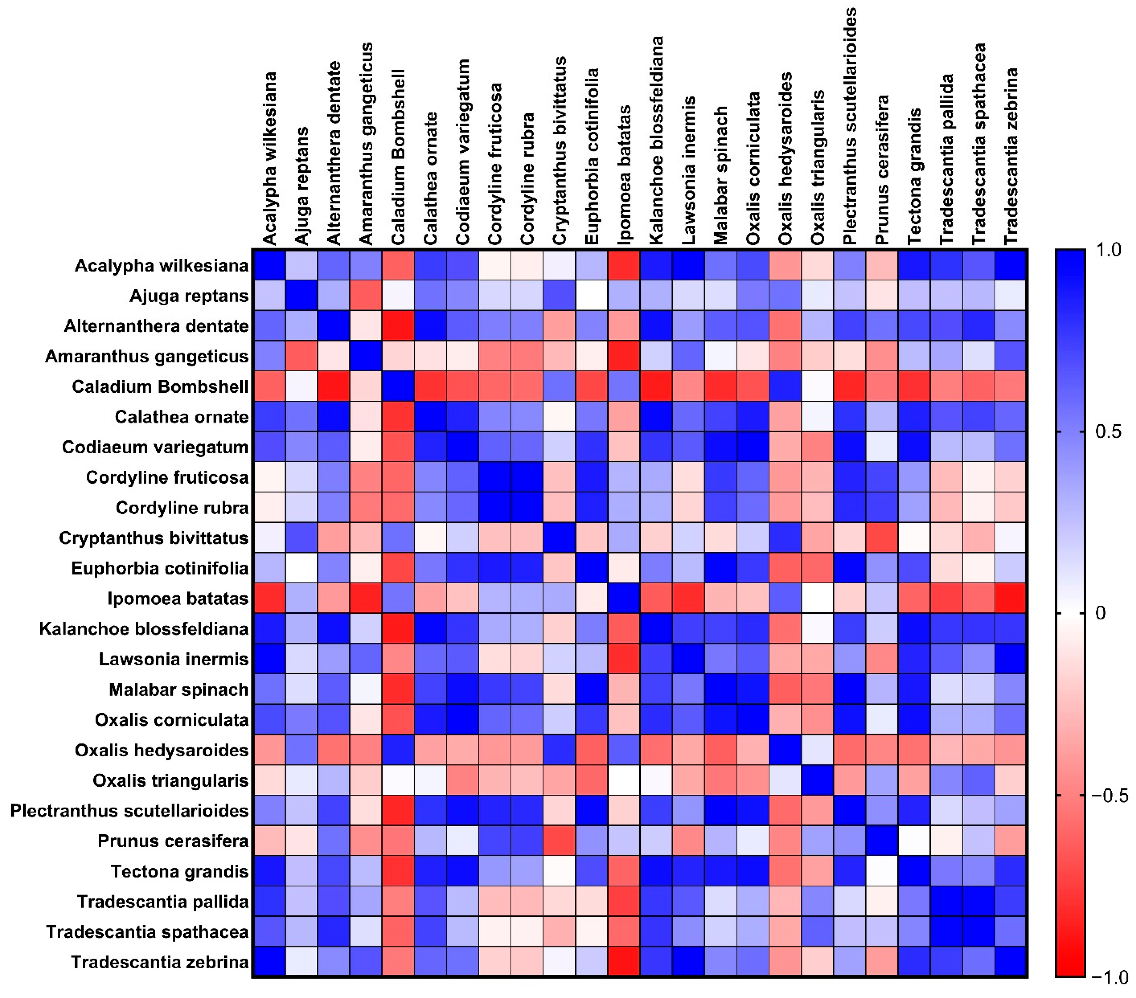 Figure 6: Pearson correlation matrix among β-carotene, lycopene, flavonoids, anthocyanins, and total phenolic content across the 24 studied medicinal plant species. The heatmap displays correlation coefficients (r) and corresponding 95% confidence intervals, with color intensity indicating the strength and direction of the linear relationships.