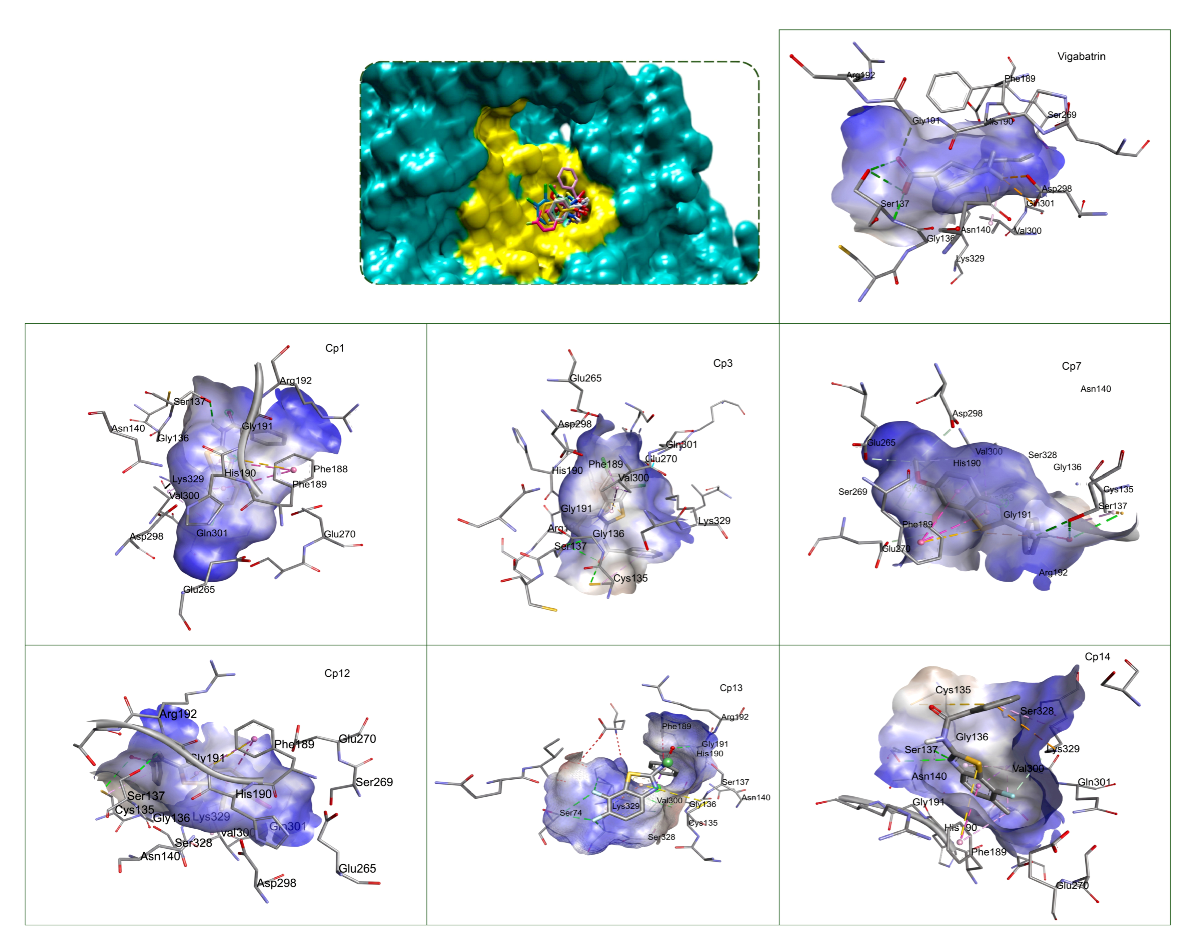 Figure 3: Structural depiction of 3D interactions between vigabatrin and selected compounds (Cp1, Cp3, Cp7, Cp12, Cp13, and Cp14) at the GABA-AT active site.