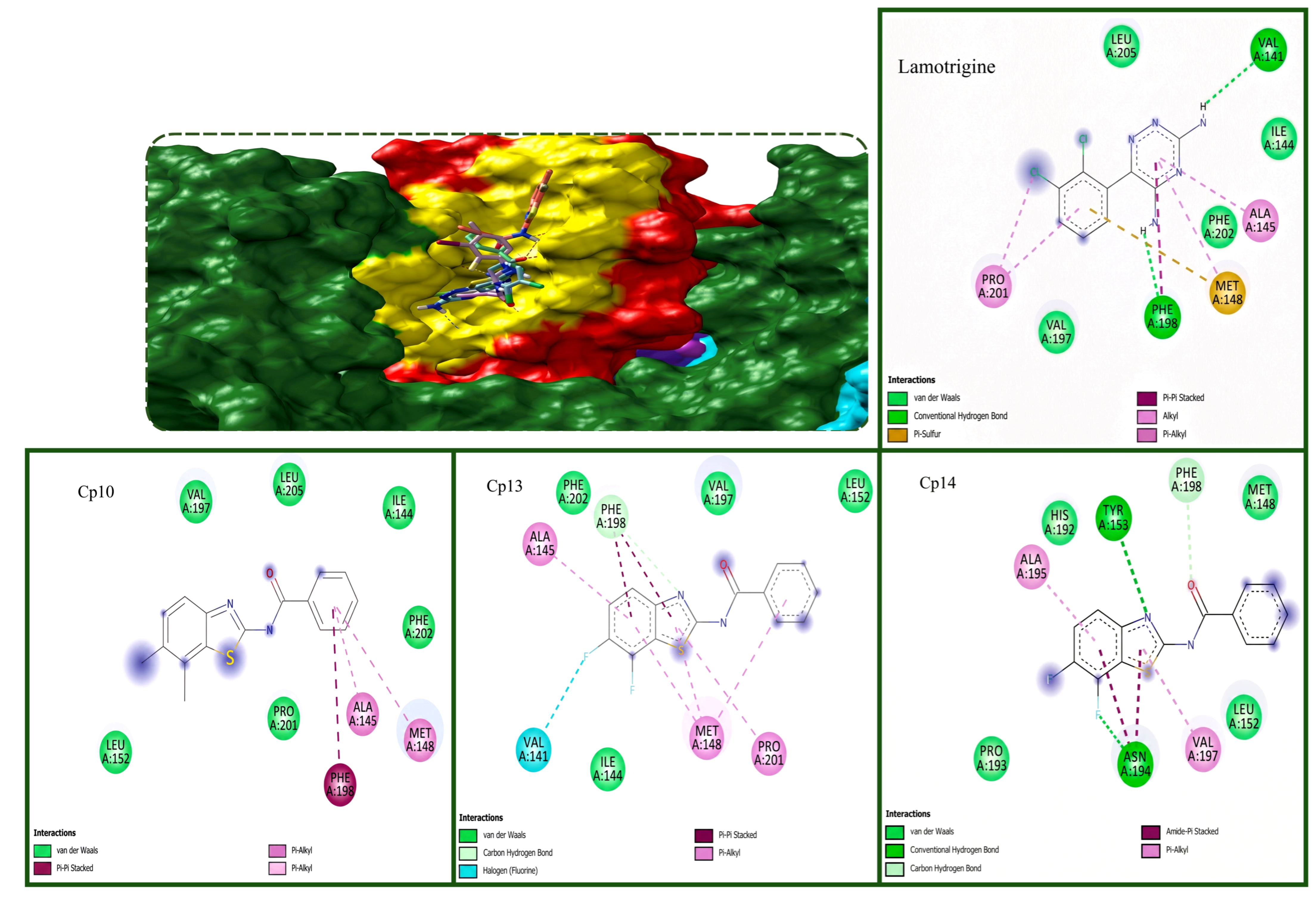 Figure 4: Comparison of molecular surface and 2D interaction patterns of lamotrigine and selected compounds (Cp10, Cp13, and Cp14) within the NavMs active site.
