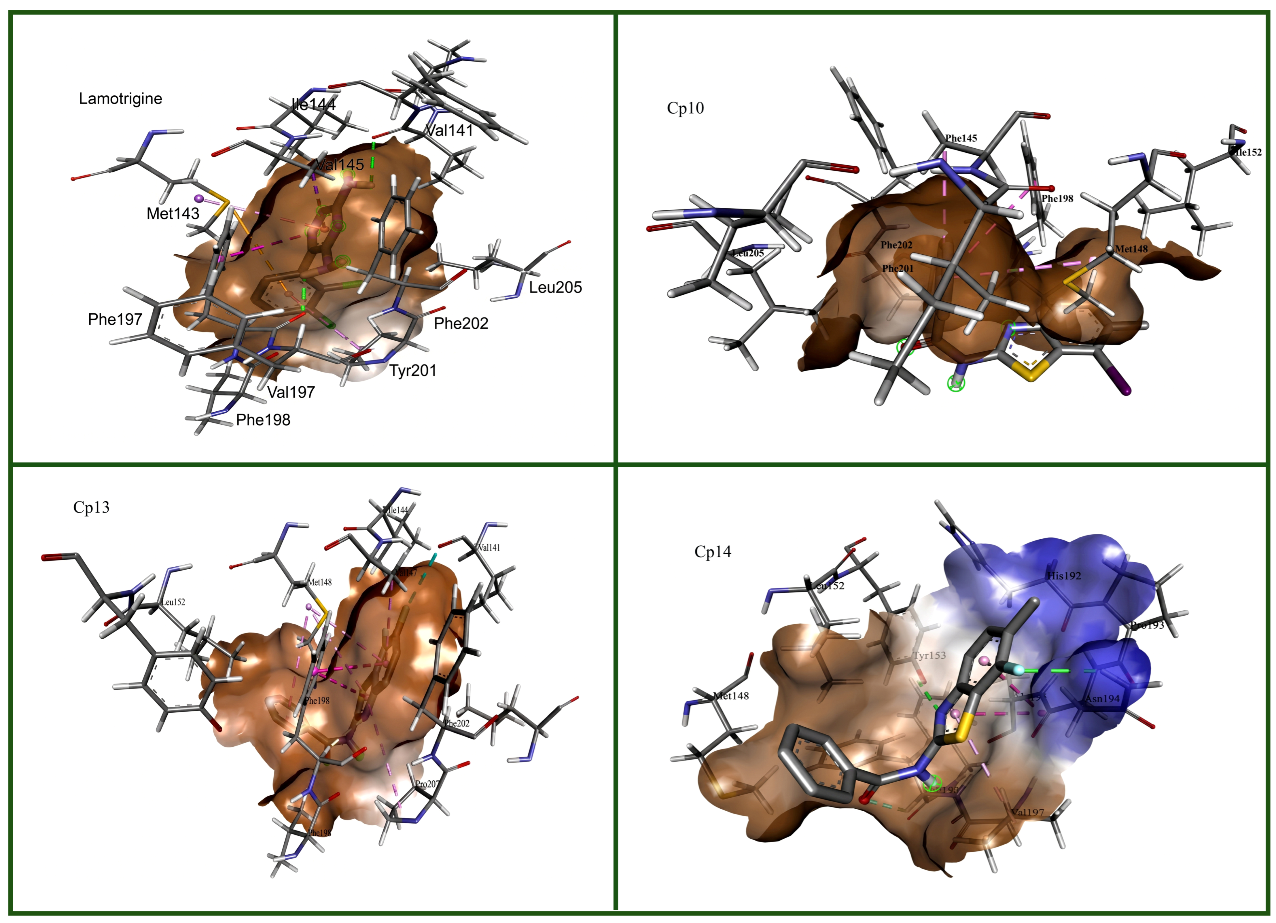 Figure 5: Structural depiction of 3D interactions between lamotrigine and selected compounds (Cp10, Cp13, and Cp14) at the NavMs active site.