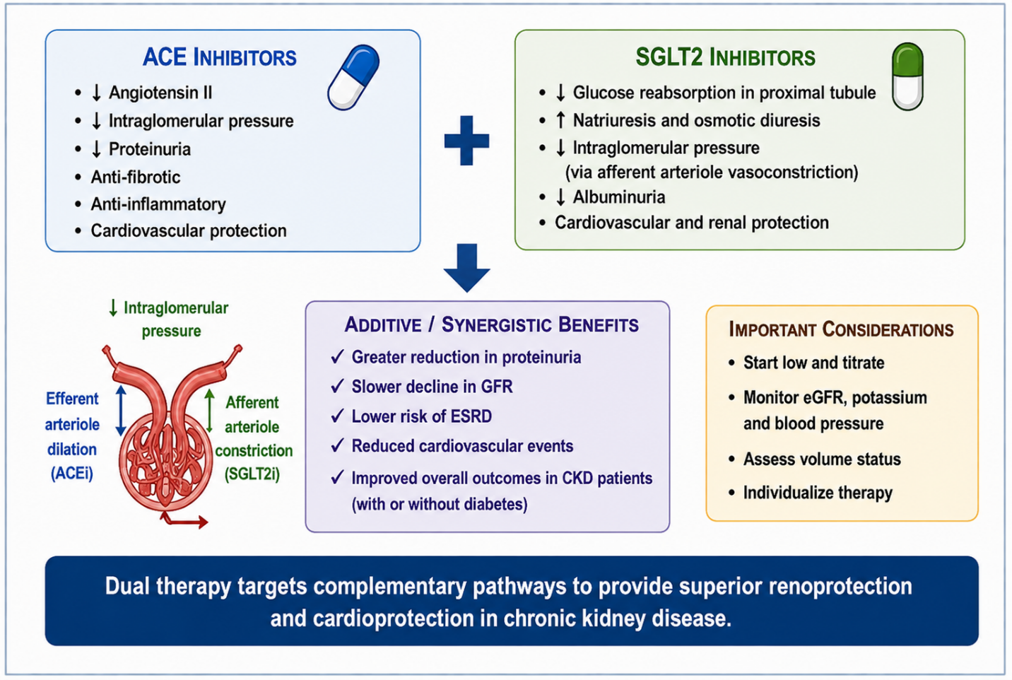 Figure 4: Complementary therapeutic approach of ACE inhibitors and SGLT2 inhibitors in the management of chronic kidney disease.