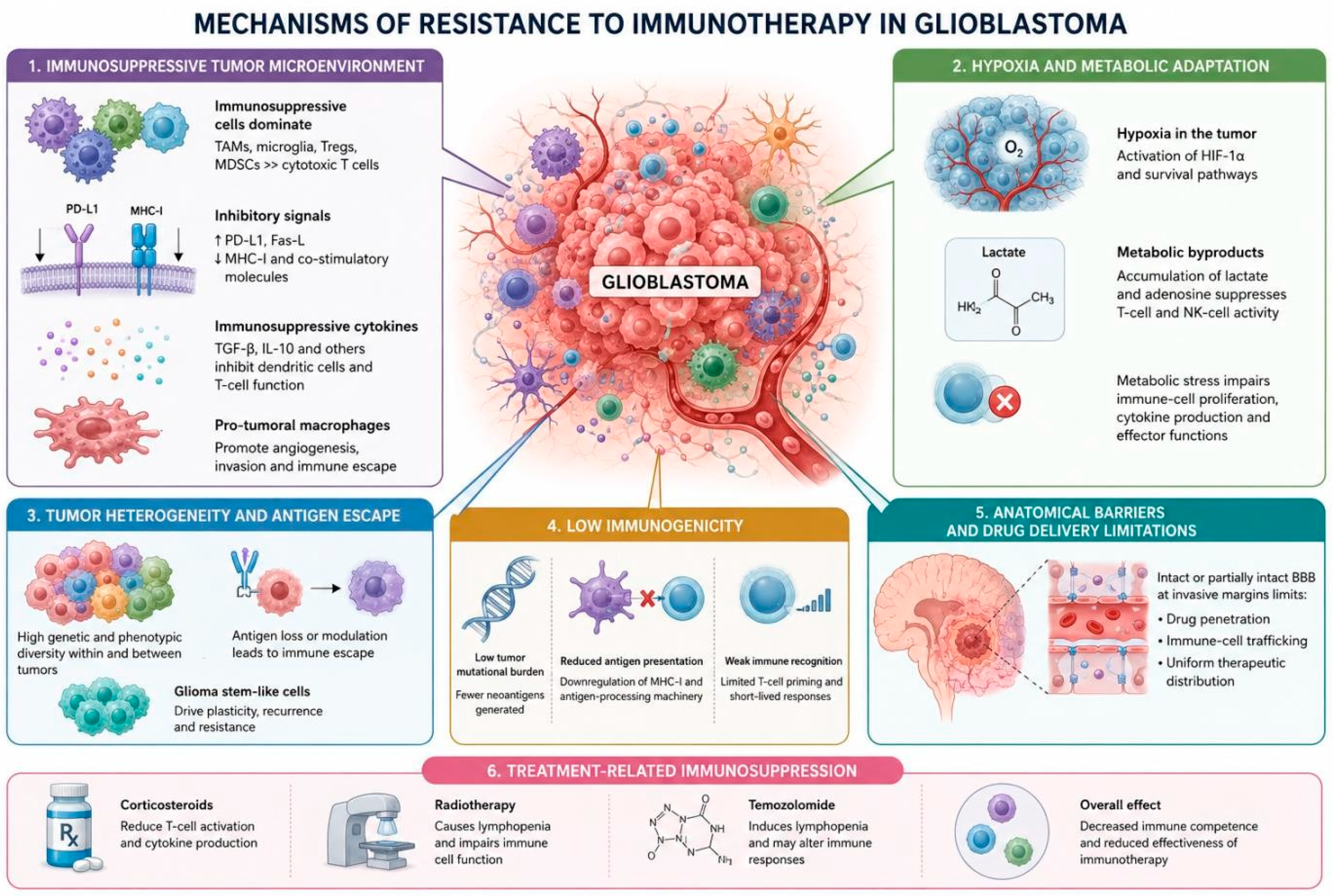 Figure 1: Mechanisms of resistance to immunotherapy in glioblastoma.