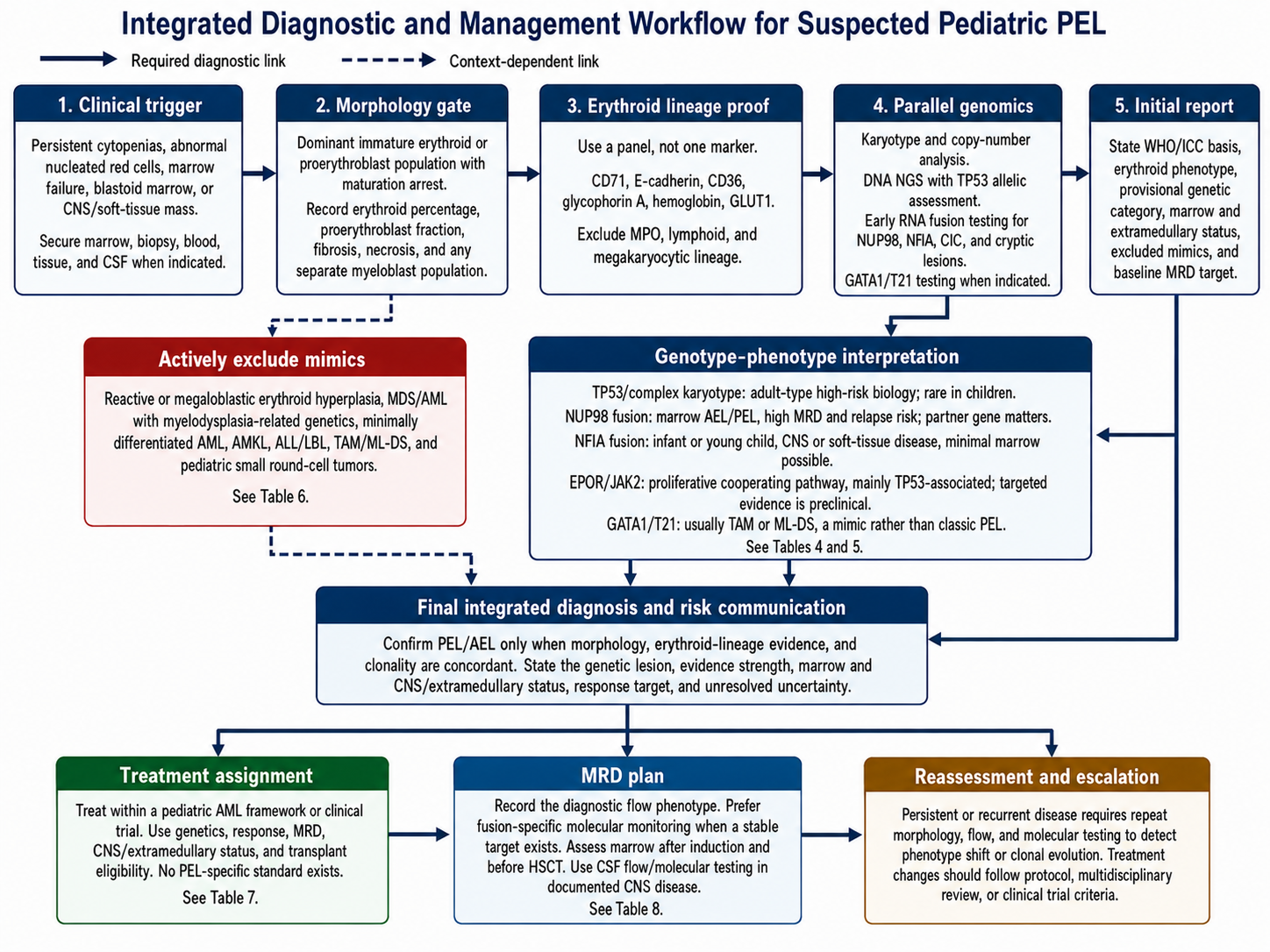 Figure 4: Integrated diagnostic and management workflow for suspected pediatric pure erythroid leukemia. Thick solid arrows indicate required diagnostic links, while dashed arrows indicate context-dependent exclusion or staging steps. The workflow cross-references morphology, molecular subtype, differential diagnosis, treatment, and MRD tables.