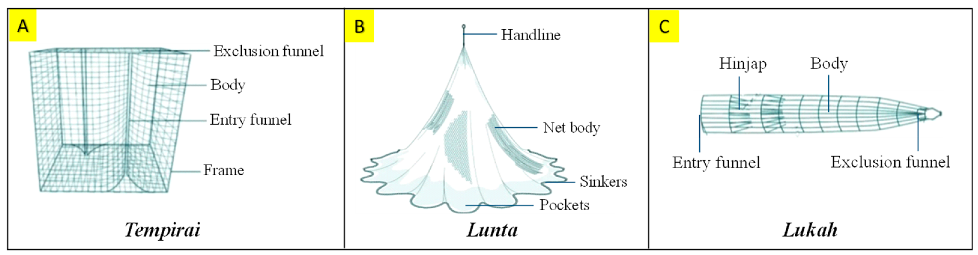 Figure 2: Illustration of traditional fishing gear used to capture T. pectoralis using Tempirai (A), Lunta (B), and Lukah (C).