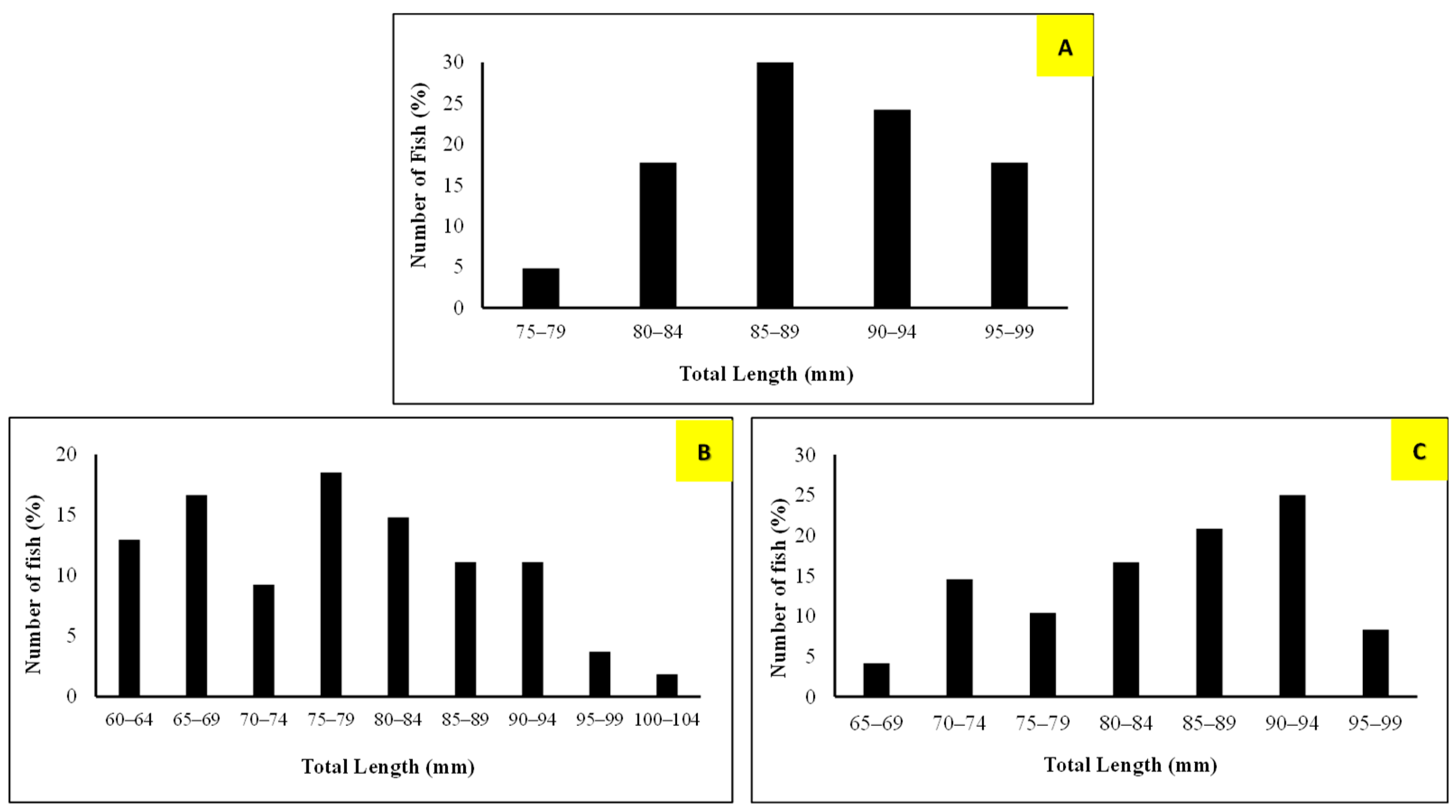 Figure 4: Length-frequency distribution of T. pectoralis captured using Tempirai (A), Lunta (B), and Lukah (C).