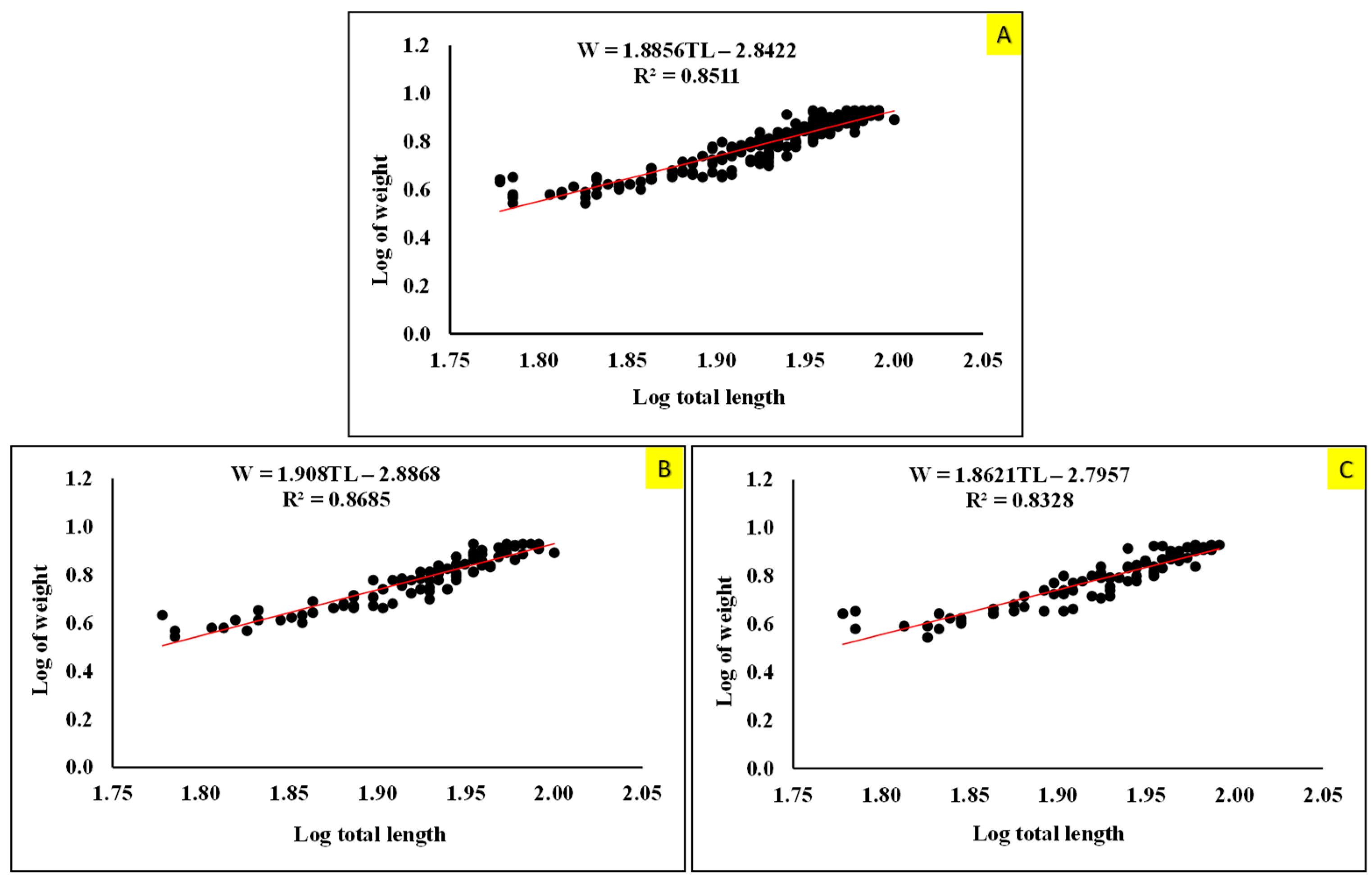 Figure 5: Length–weight relationship curves of the sexes pooled (A), males (B), and females (C) of T. pectoralis collected from the wetlands of Palangkaraya City, showing a negative allometric growth pattern (b < 3).