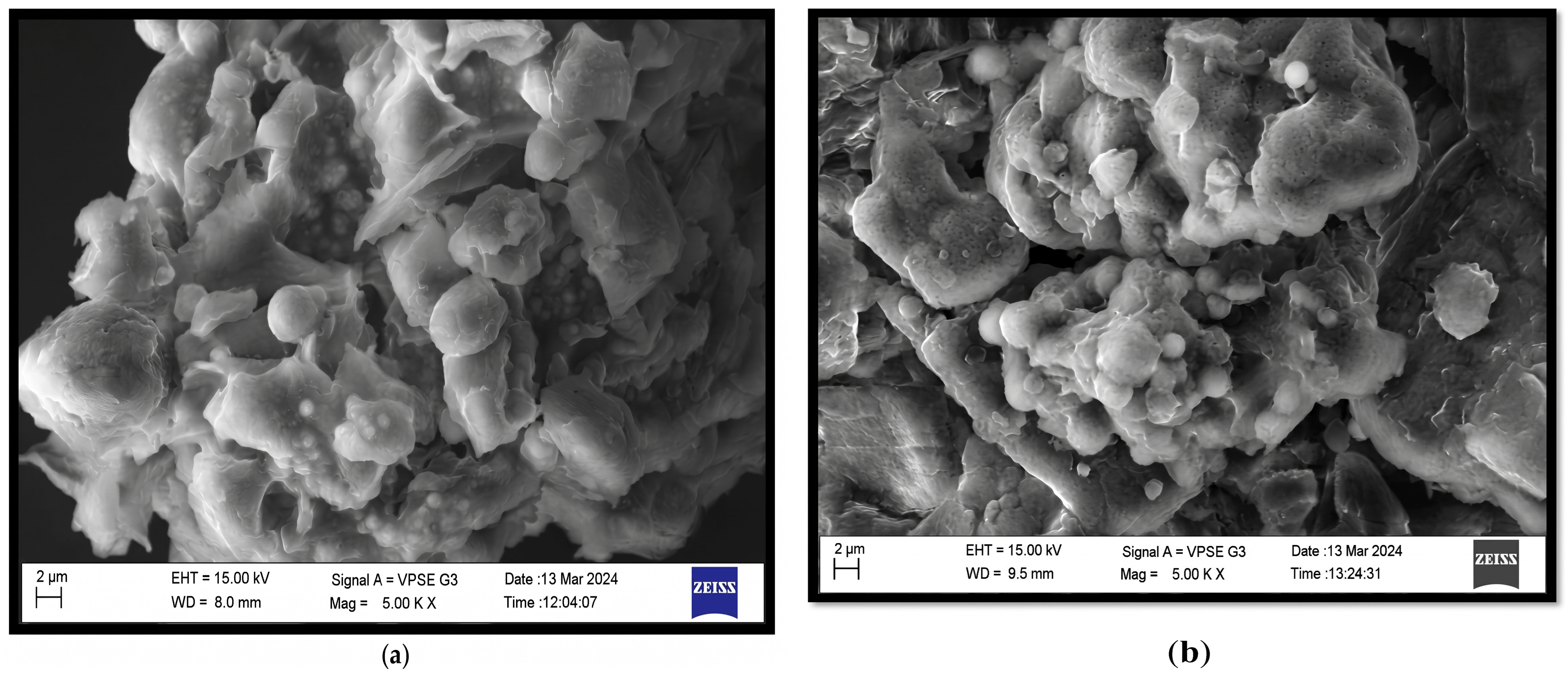 Figure 3: Scanning electron microscopy of rice (a) whole rice grain surface (b) polished rice.