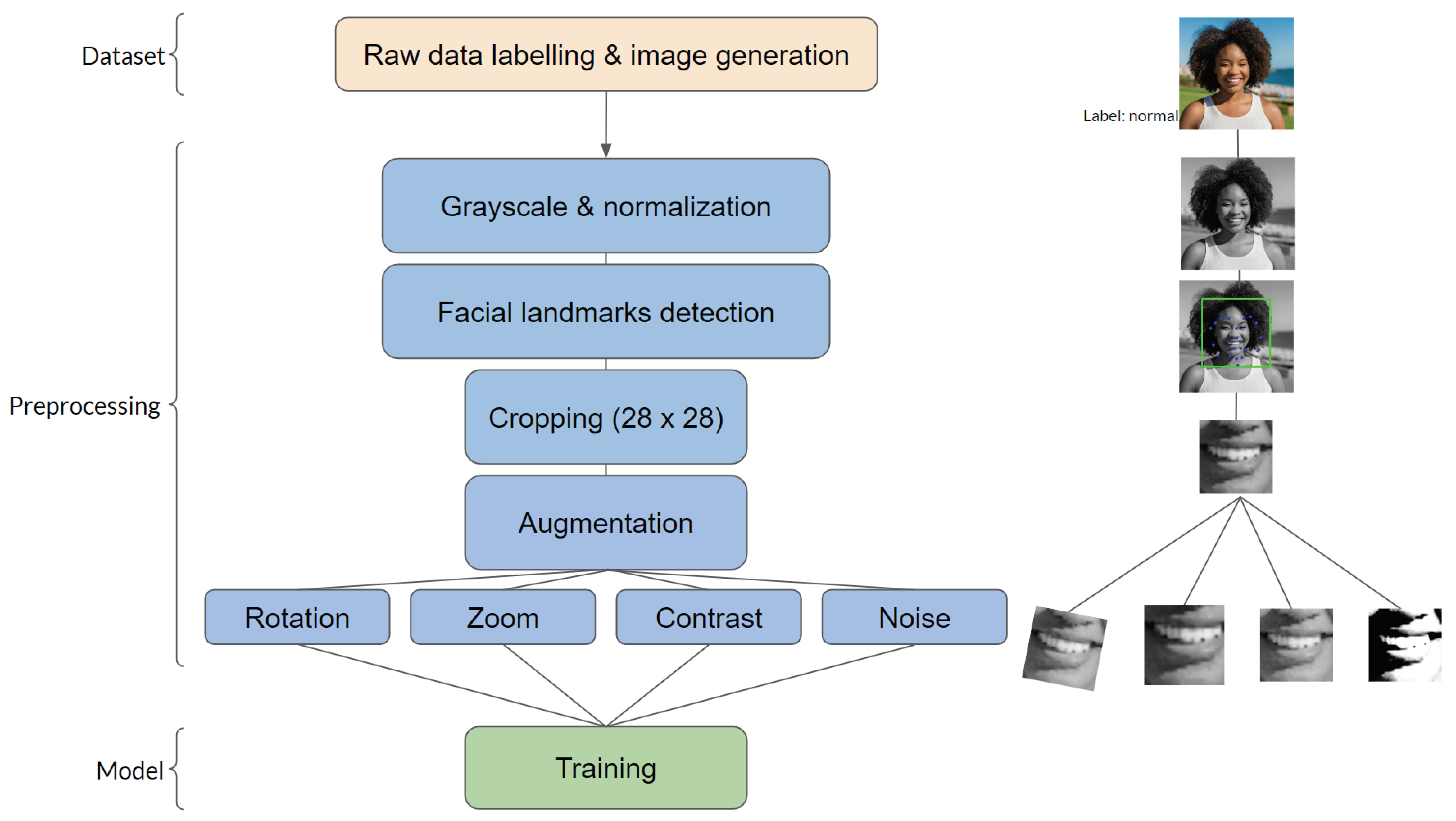 Figure 4: Diagram of the pipeline from data collection to preprocessing to CNN training. On the right is a visualization of the process a single image goes through. The image used is a random sample image from the Adobe Firefly AI-generated dataset with some of the included data augmentations.
