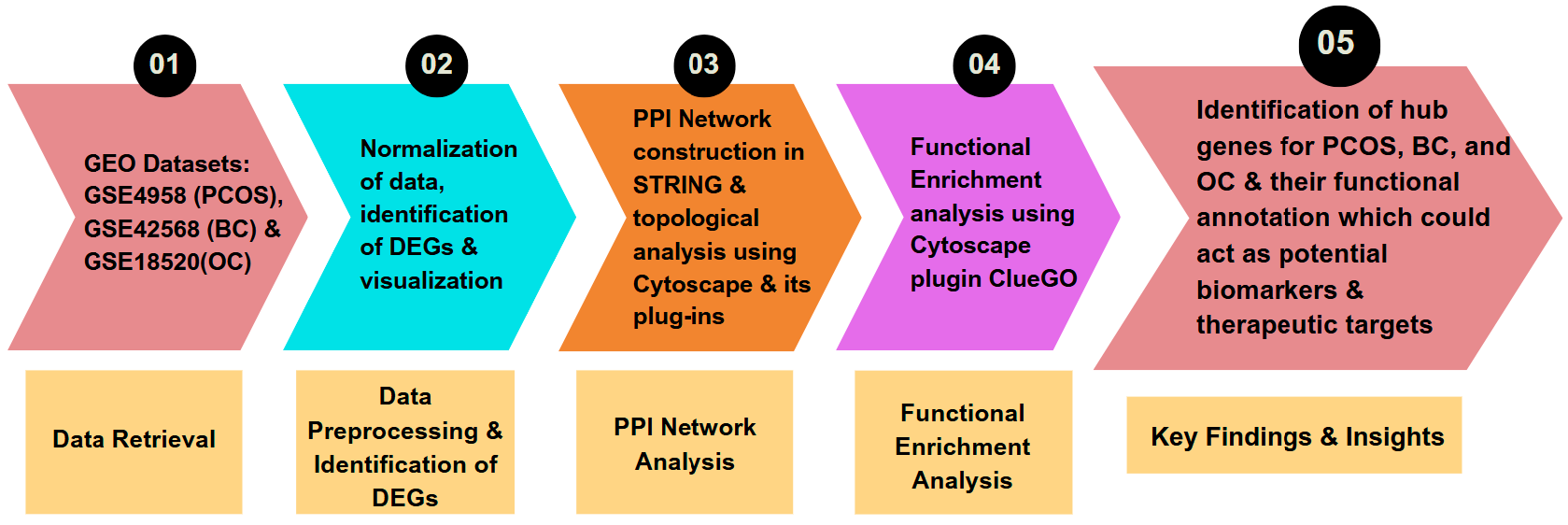 Figure 1: <p>Graphical flowchart of the research methodology.</p>
