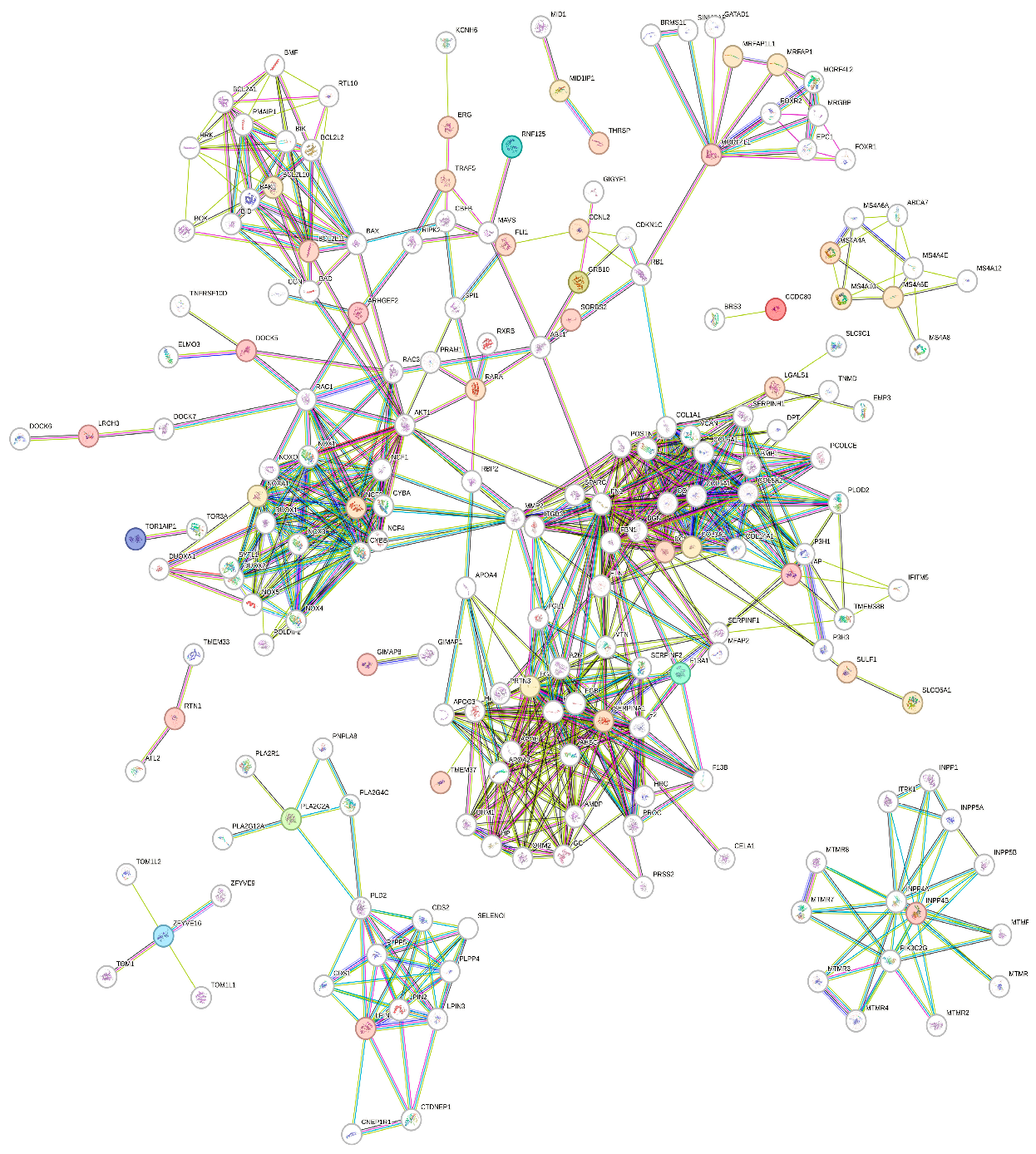 Figure 4: <p>Protein-Protein interactome generated using STRING with 195 nodes and 738 edges.</p>
