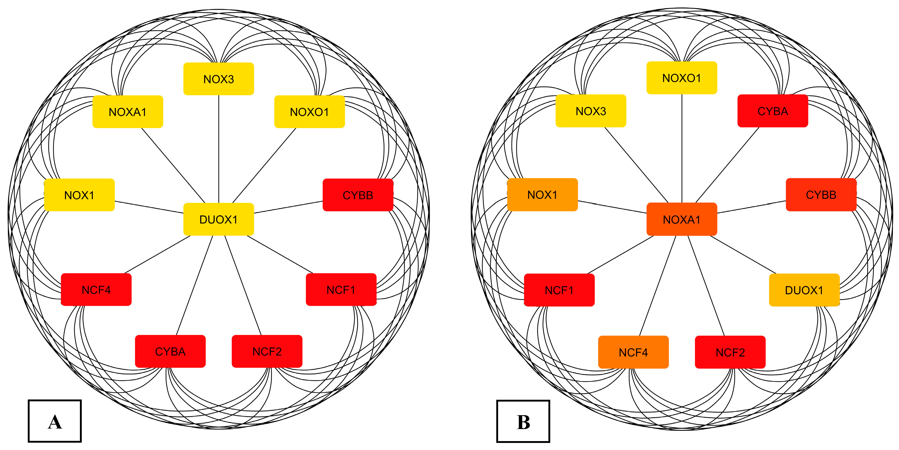 Figure 6: <p>Top 10 ranked hub genes network obtained from analysis using Cytoscape plug-in CytoHubba, of network obtained from (<strong>A</strong>) MCODE and (<strong>B</strong>) ClusteONE.</p>
