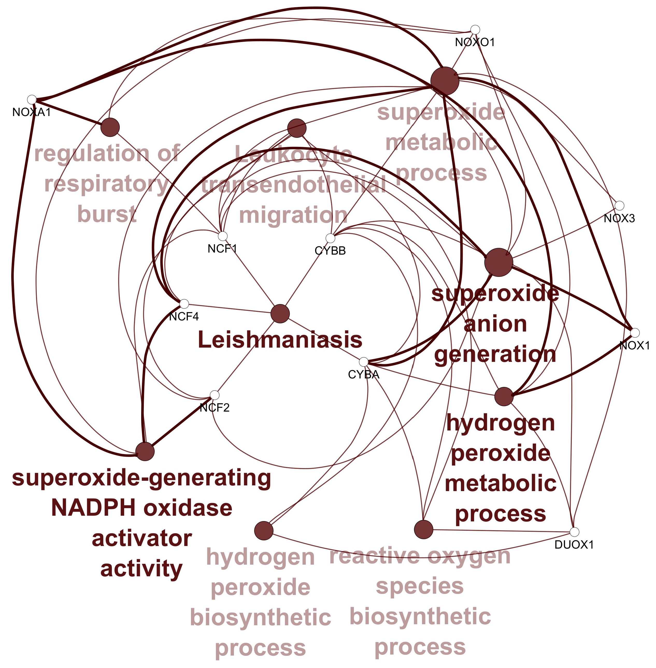 Figure 7: <p>Pathway enrichment incorporating KEGG and Biological pathways using Cytoscape plug-in ClueGO.</p>
