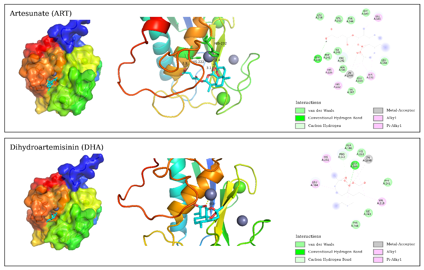 Figure 2: 3D and 2D molecular interaction maps of the best configuration for ligand molecules and MMP-13 docking.